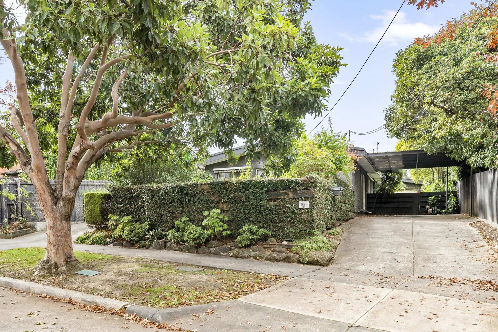 1/5 Carson Crescent, Hawthorn image 9