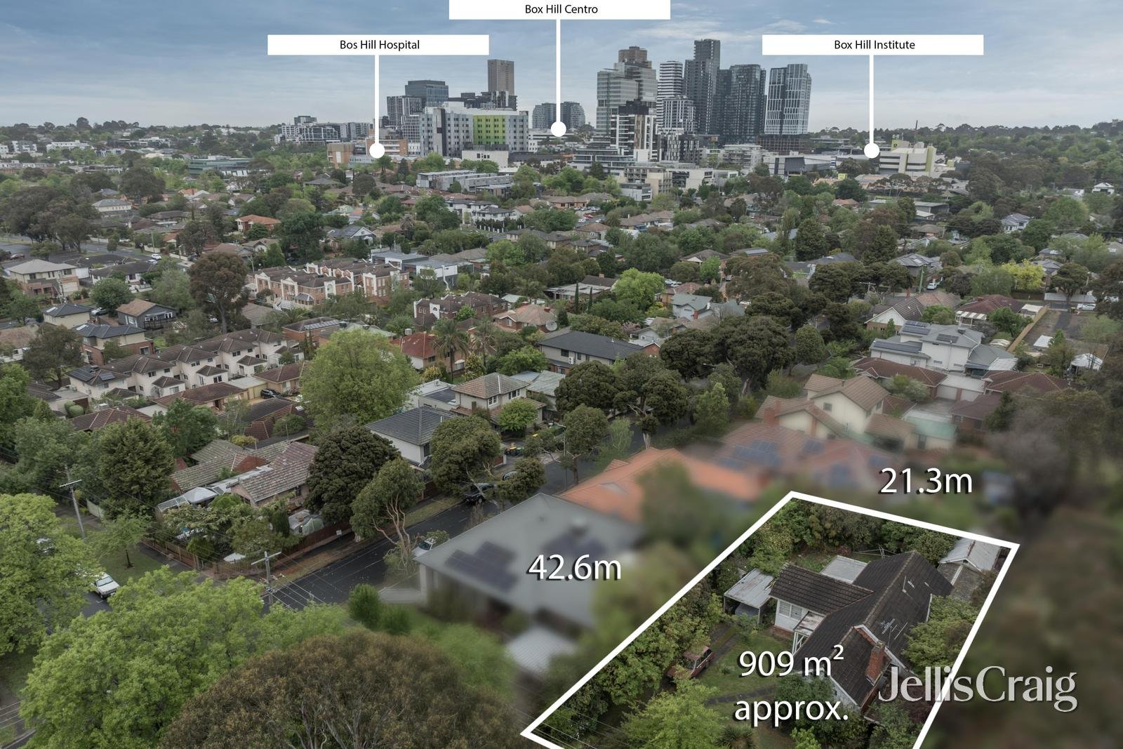15 Dunloe Avenue, Mont Albert North image 2