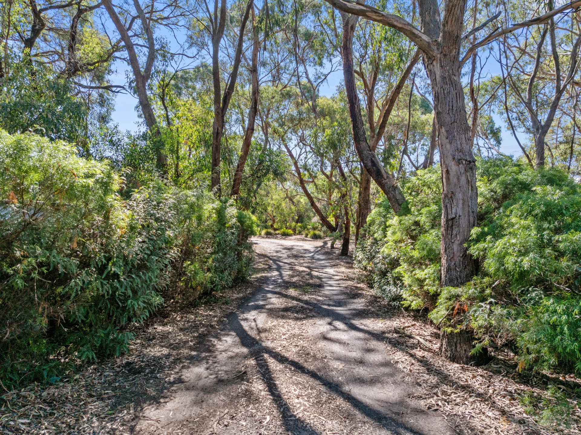 15 Grasstree Court Wonthaggi