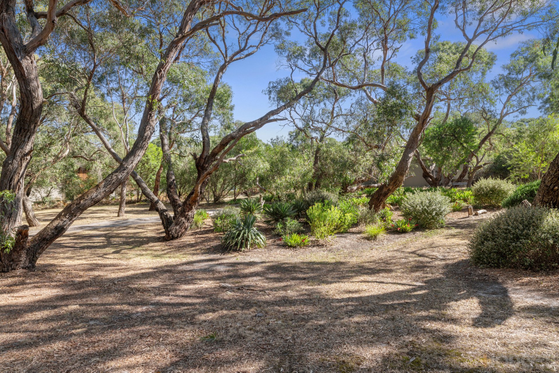 15 Grasstree Court Wonthaggi