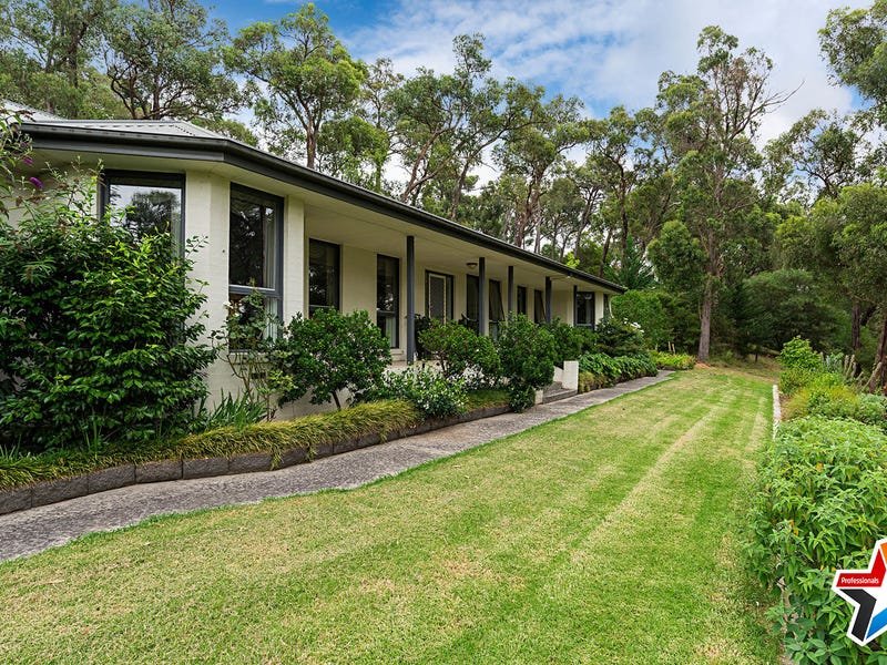 15 Harrison Road, Montrose image 4