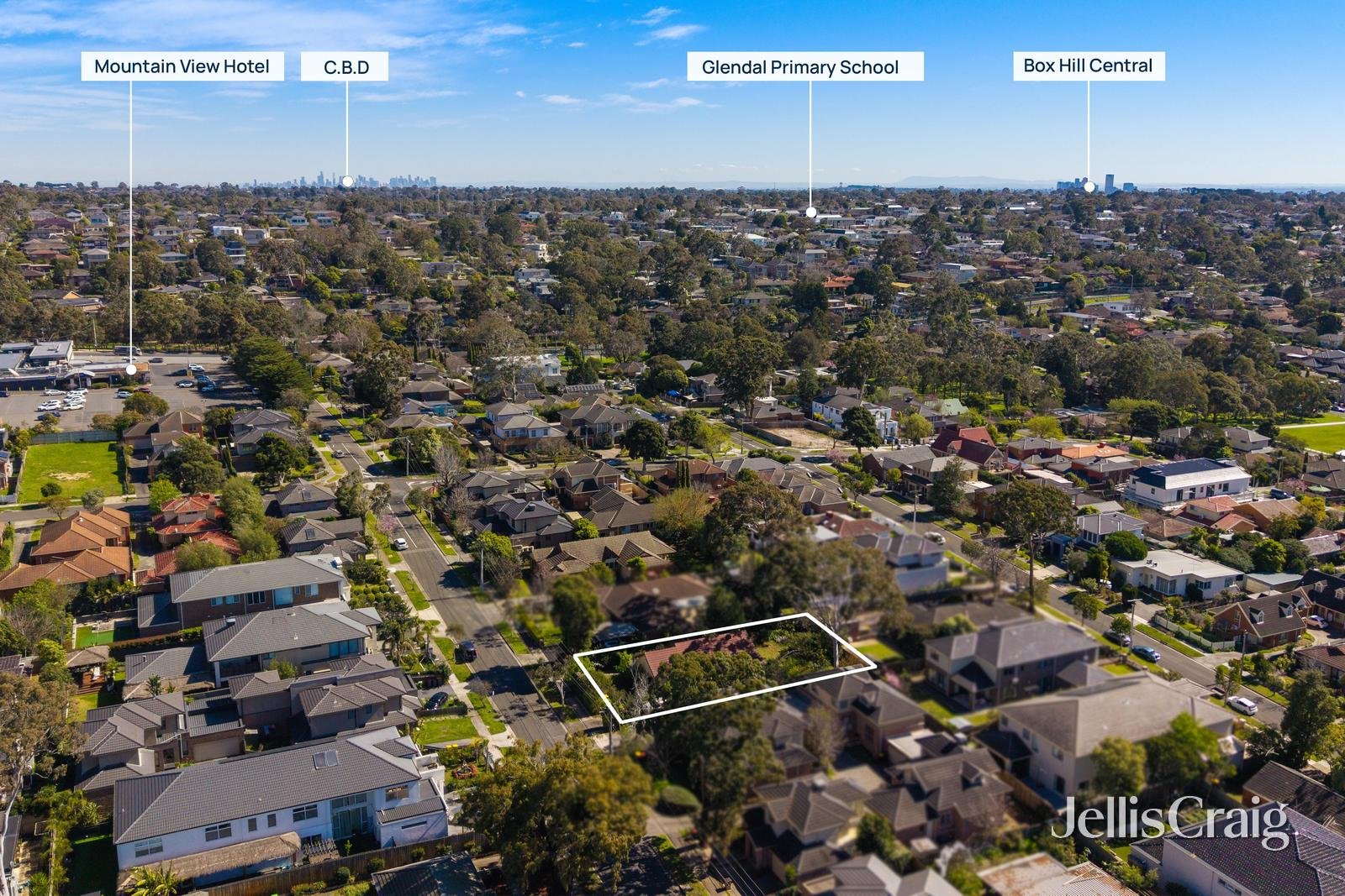 15 Harvie Street, Glen&nbsp;Waverley image 4
