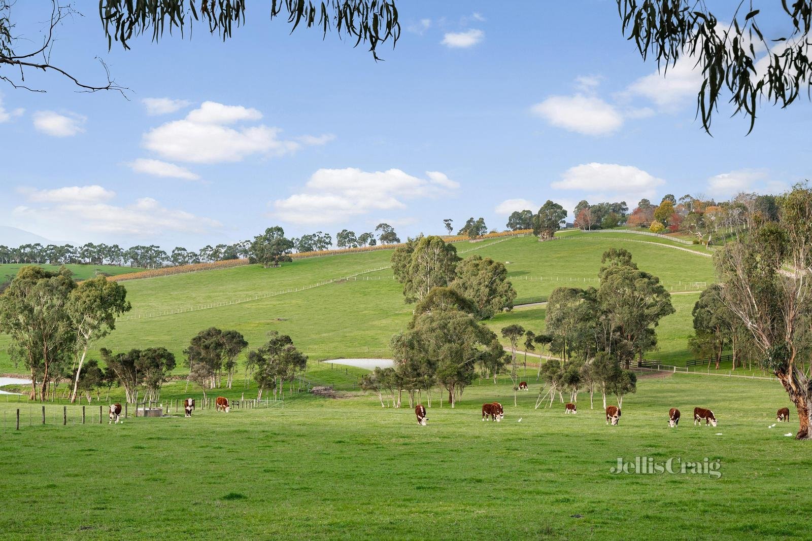 15 Henley Bridge Road, Chirnside Park image 17