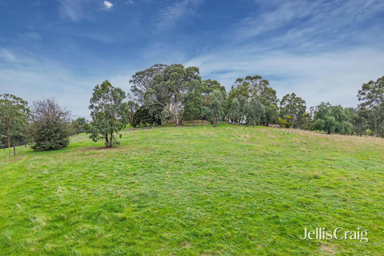 15 Homestead Road, Templestowe image 6