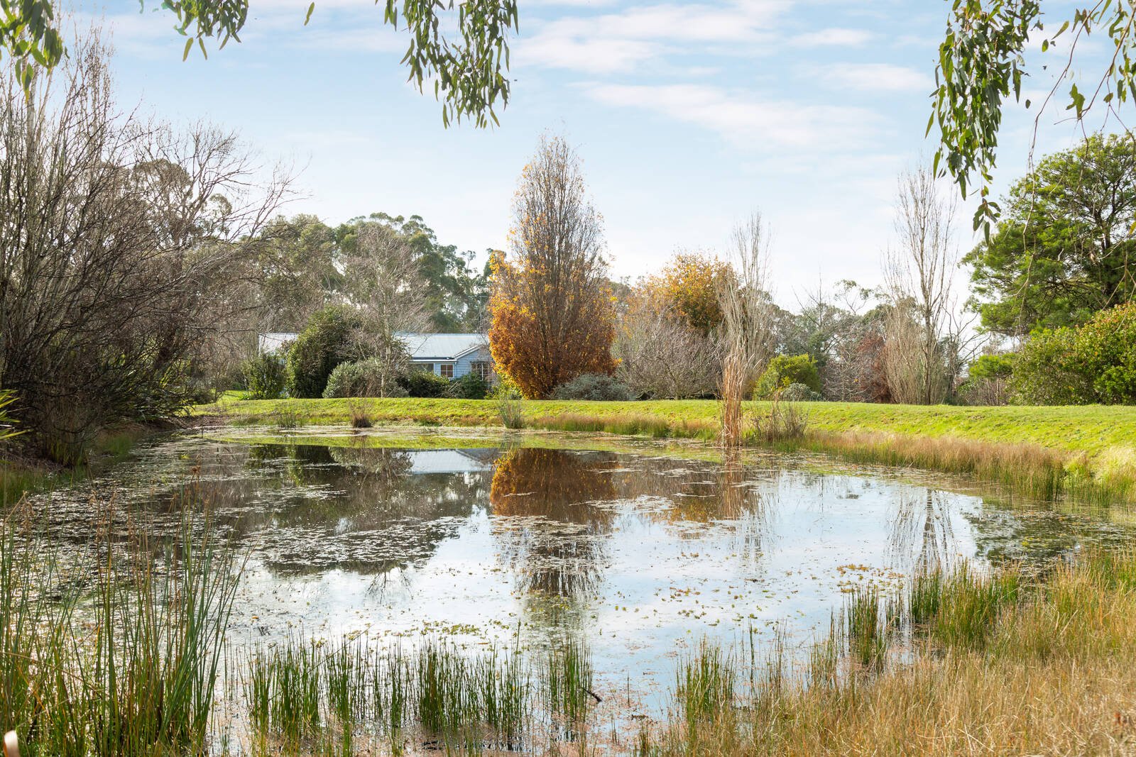 Property Gallery - Main Image