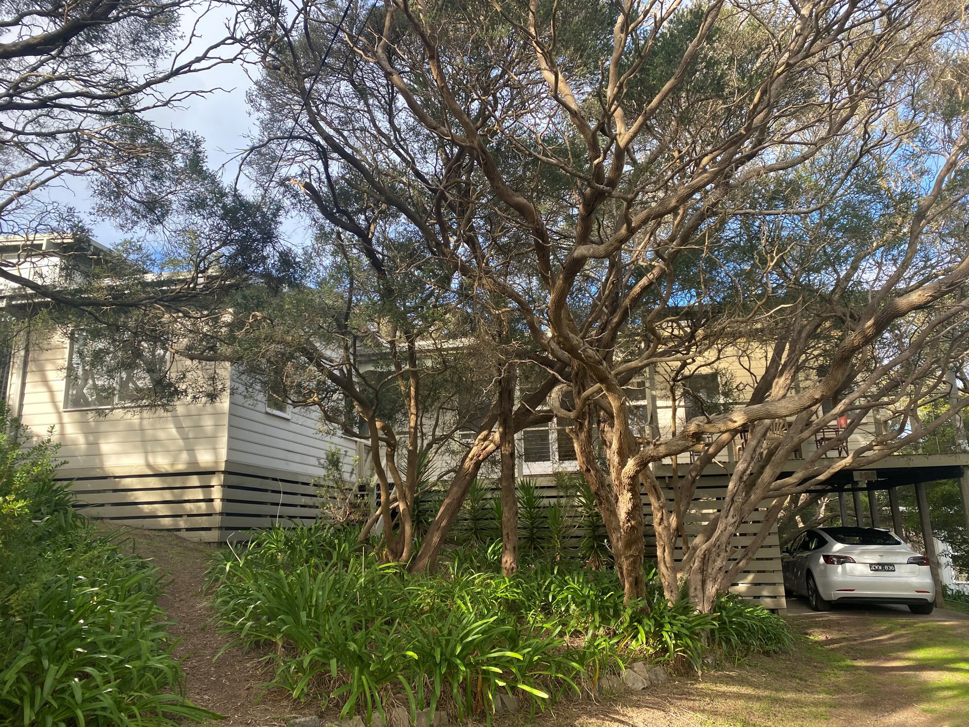 15 Johns Drive, Rye image 11