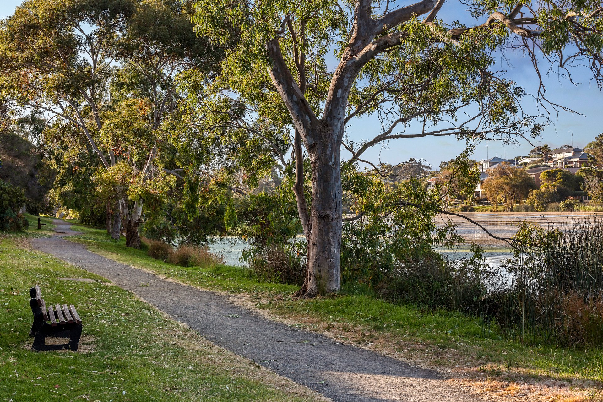 15 Kalinga Road Ocean Grove