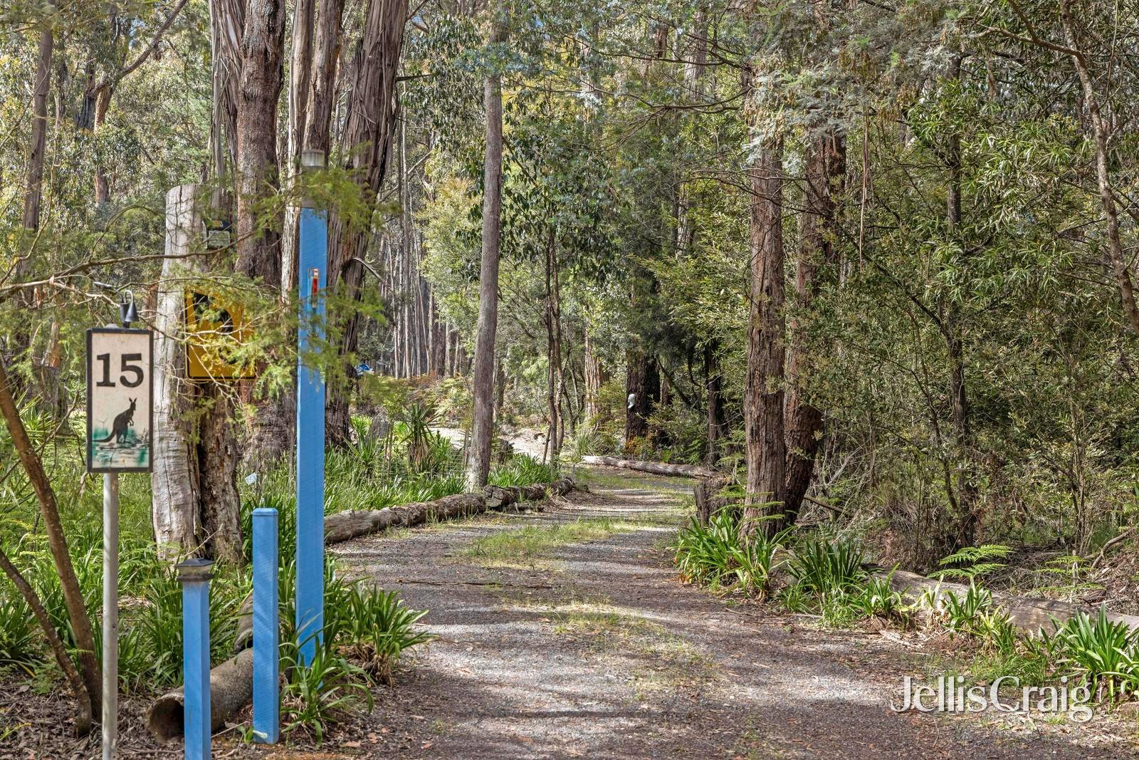 15 Kangaroo Drive, Coomoora image 7