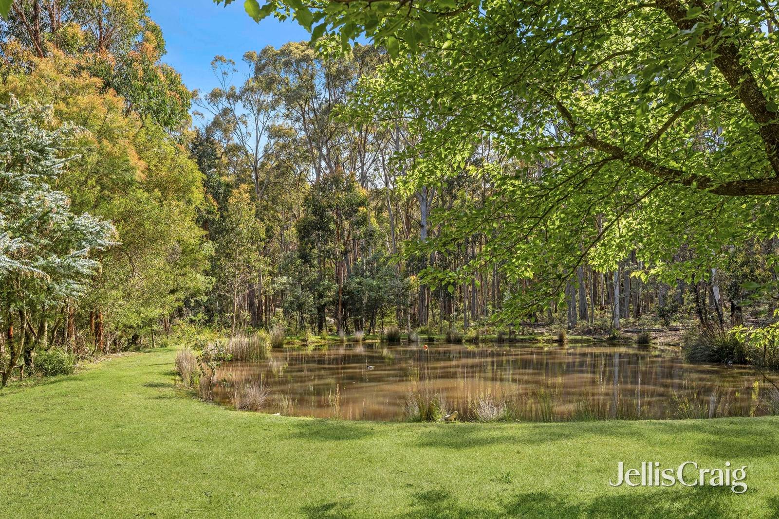 15 Kangaroo Drive, Coomoora image 17