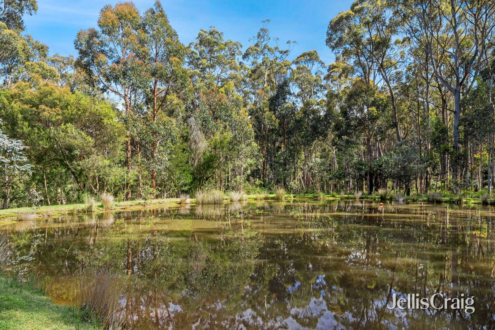 15 Kangaroo Drive, Coomoora image 22