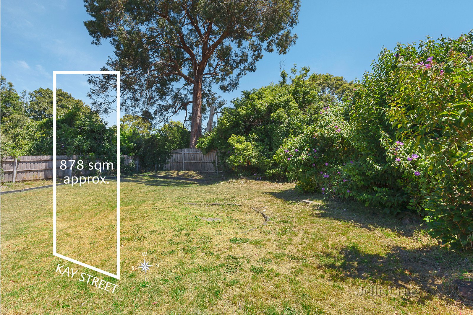 15 Kay Street, Mount Waverley image 6