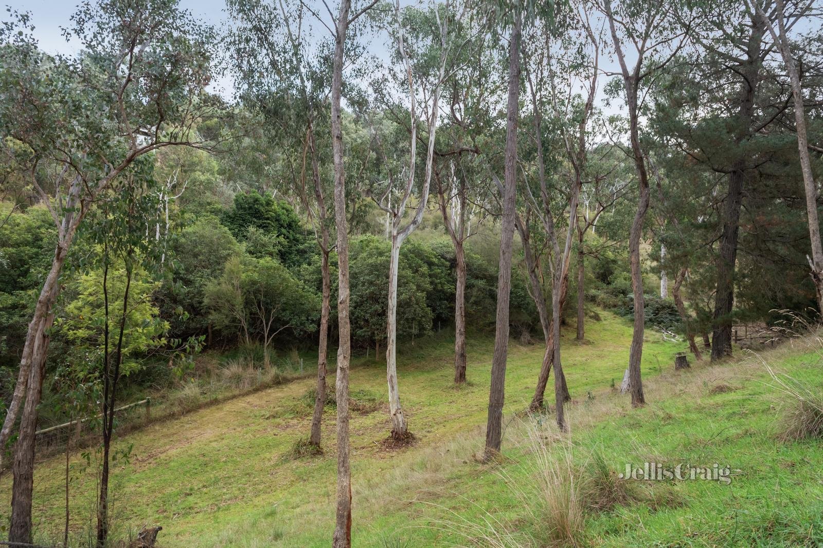 15 Kruses Road, North Warrandyte image 15