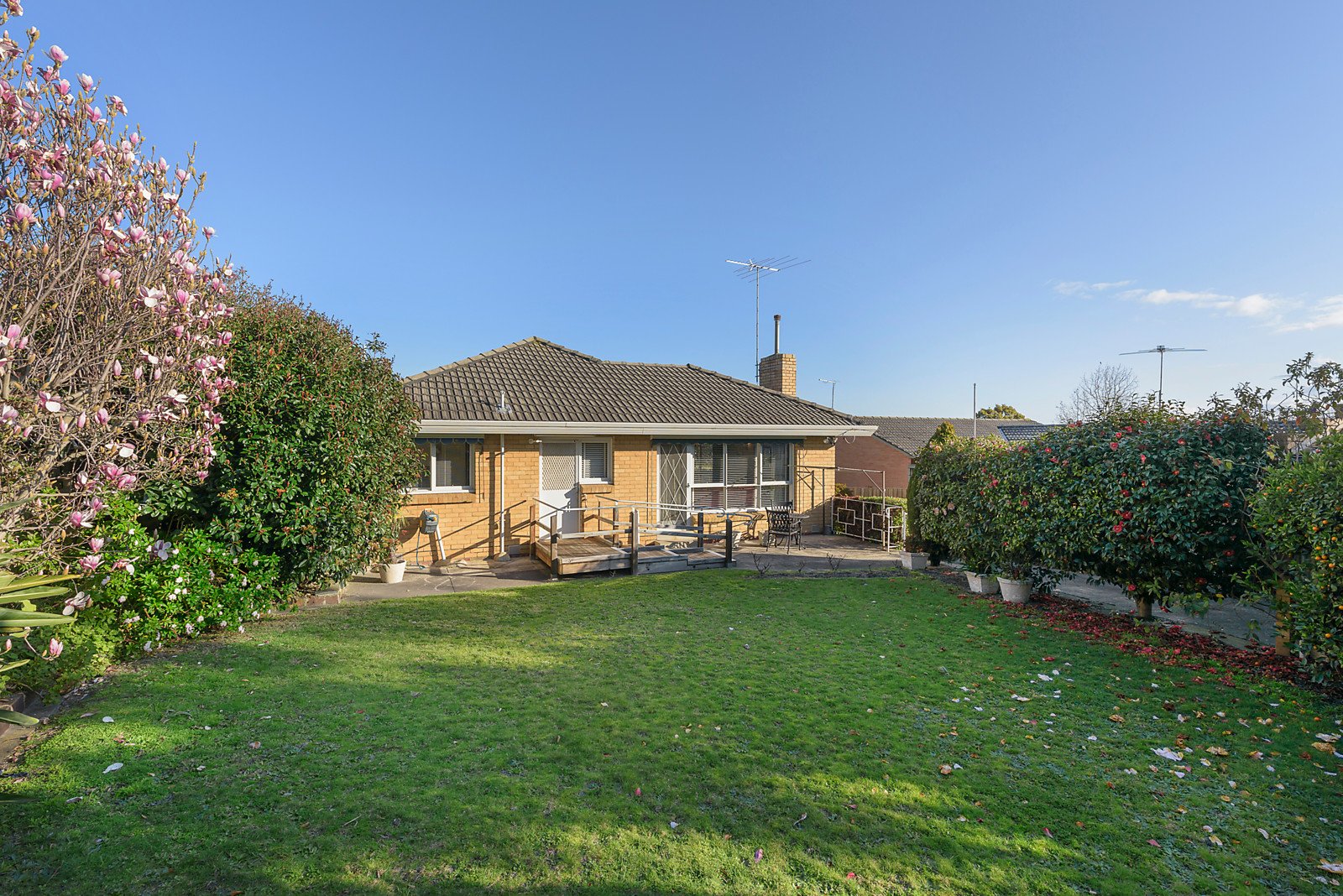 15 Maroondah Road, Ashwood image 8