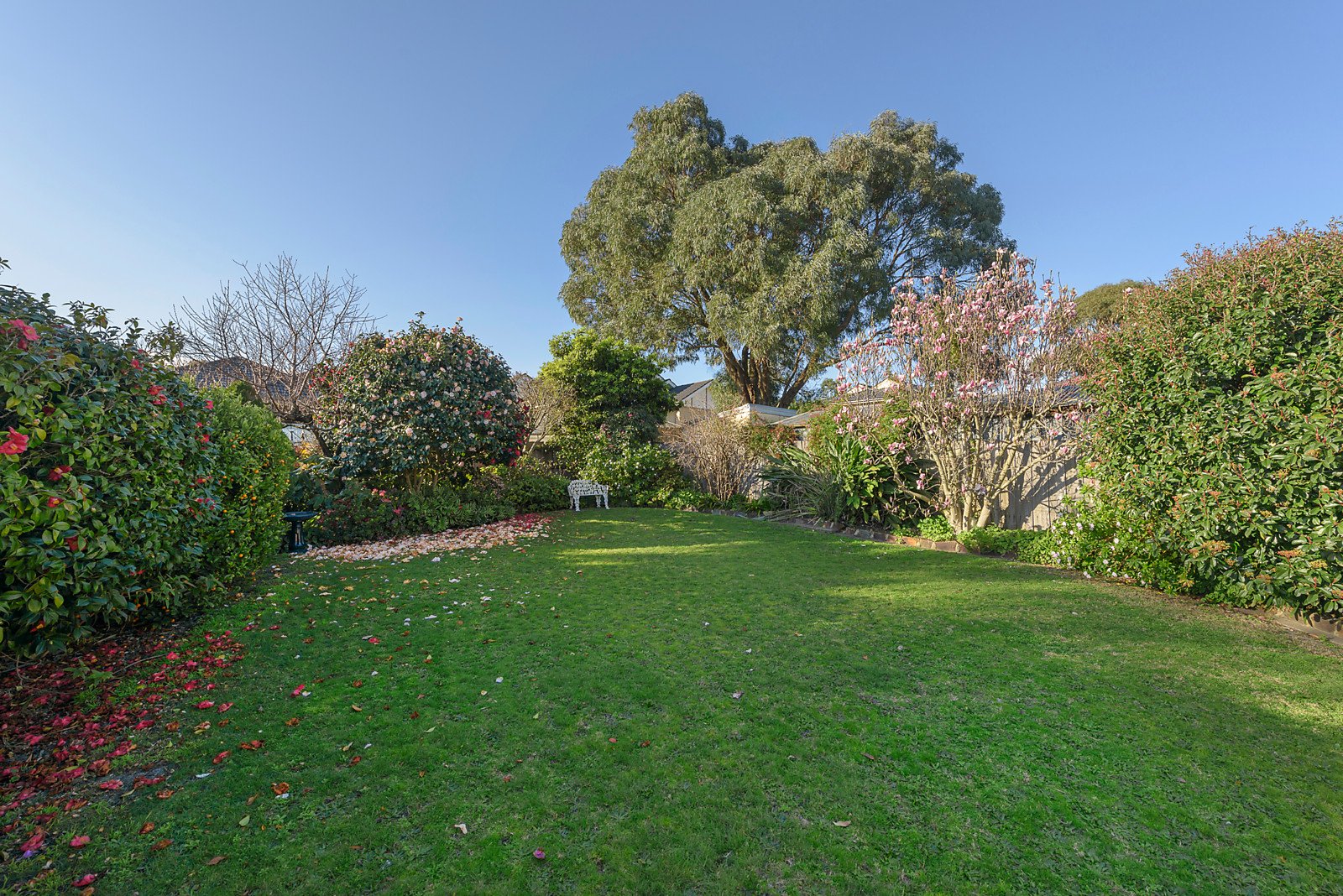 15 Maroondah Road, Ashwood image 9