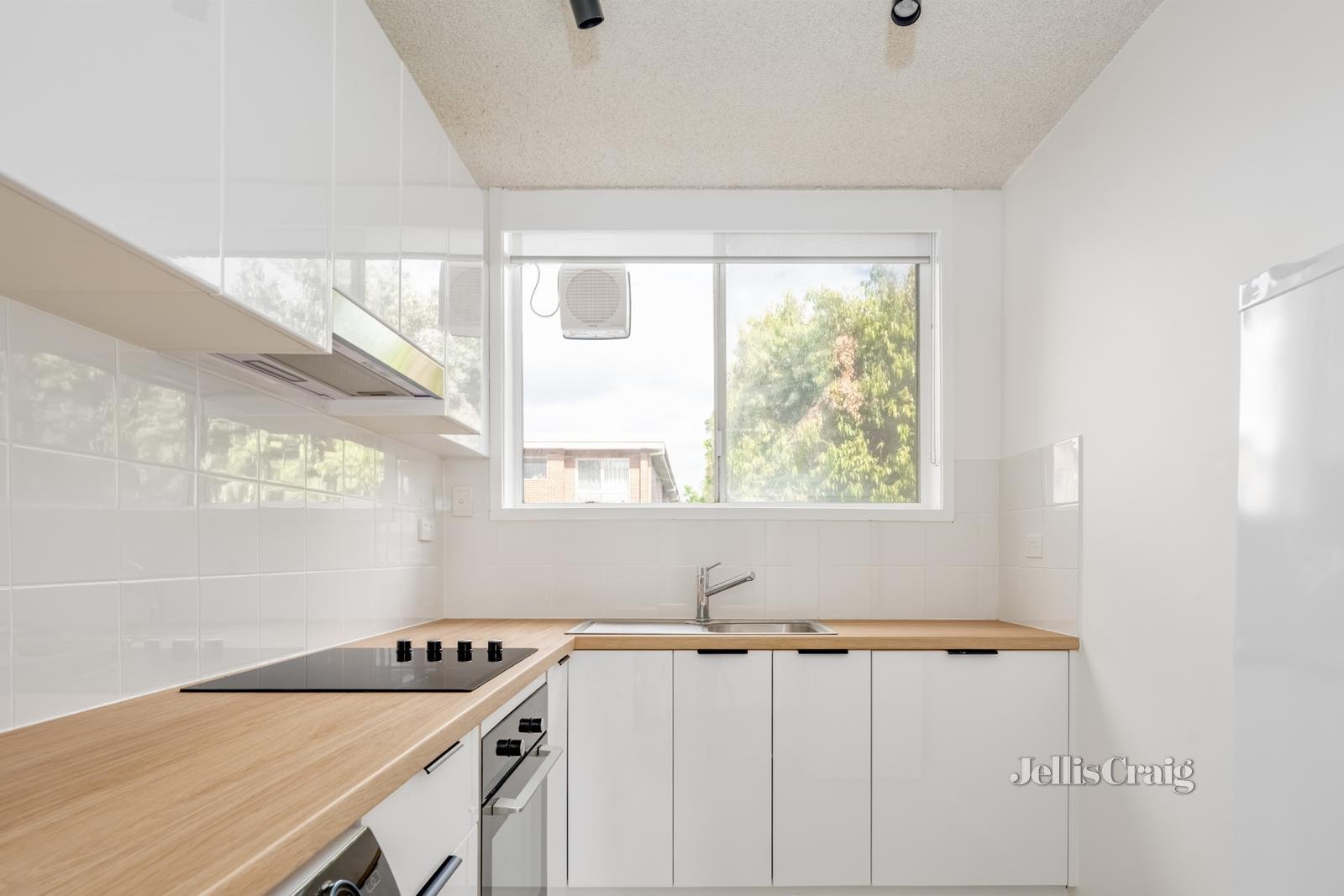 15 Mckinley Avenue, Malvern image 3