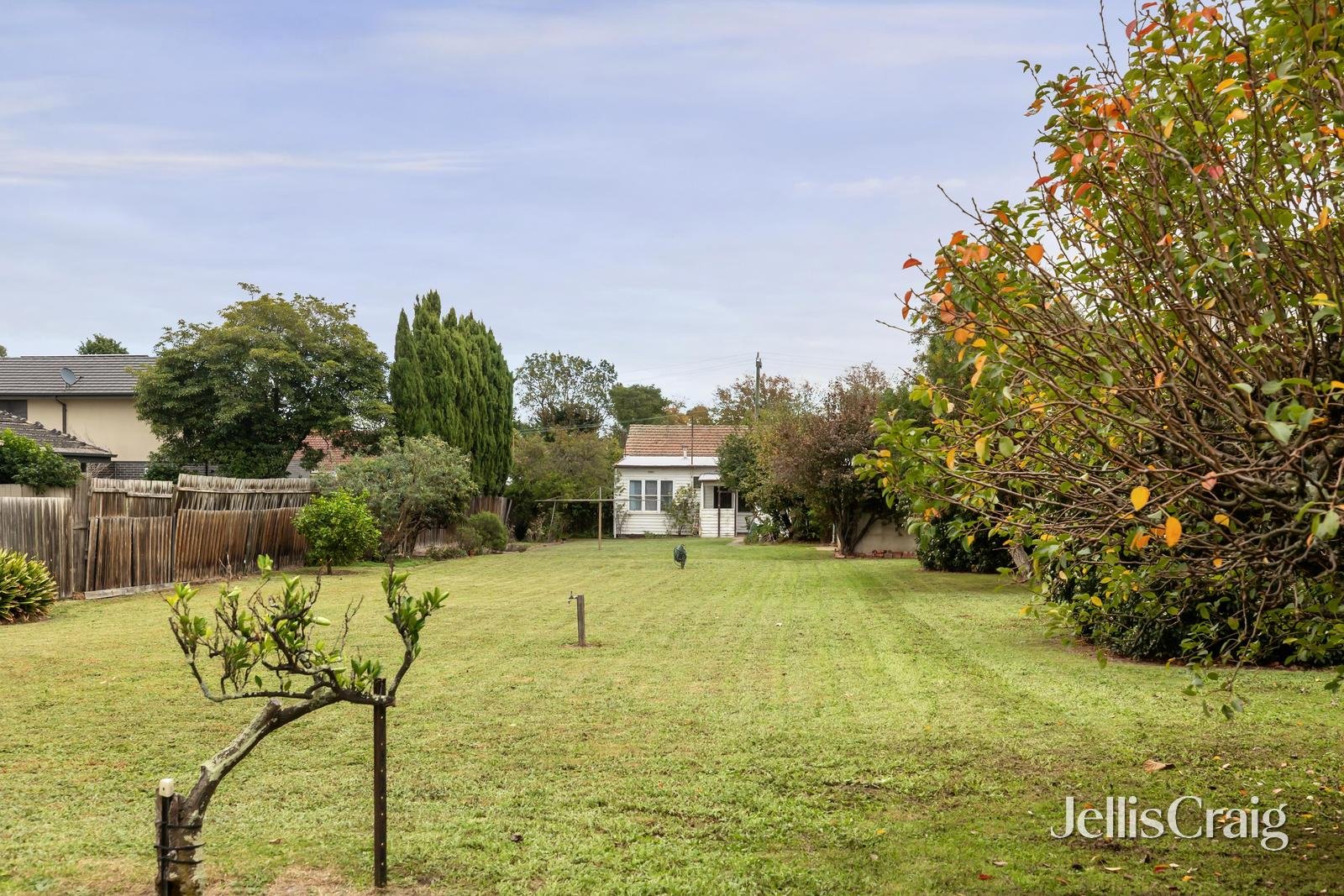 15 Myrniong Street, Glen&nbsp;Iris image 4