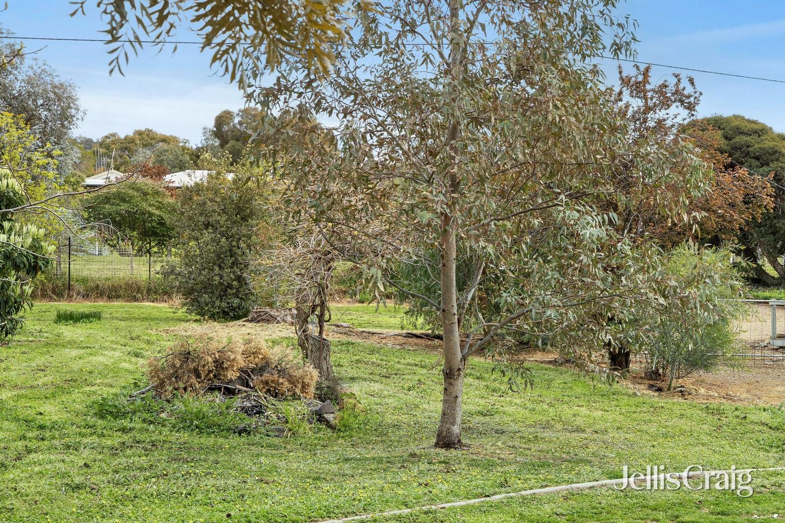 15 Parkins Reef Road, Maldon image 3