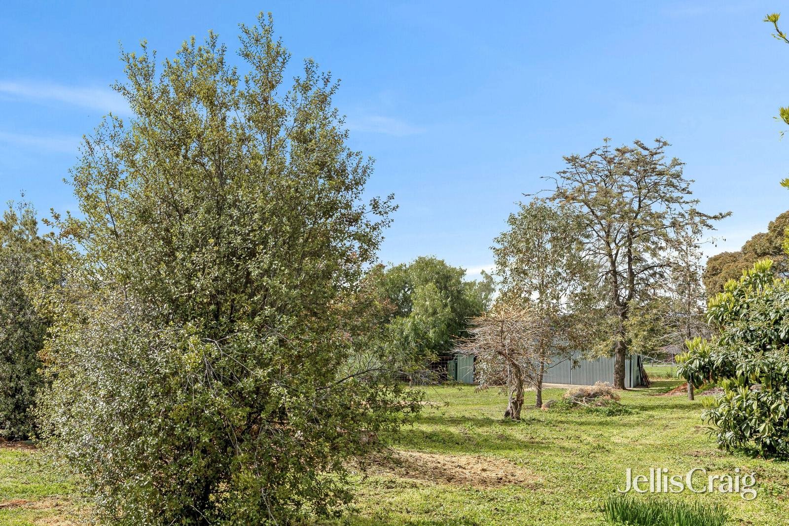 15 Parkins Reef Road, Maldon image 5