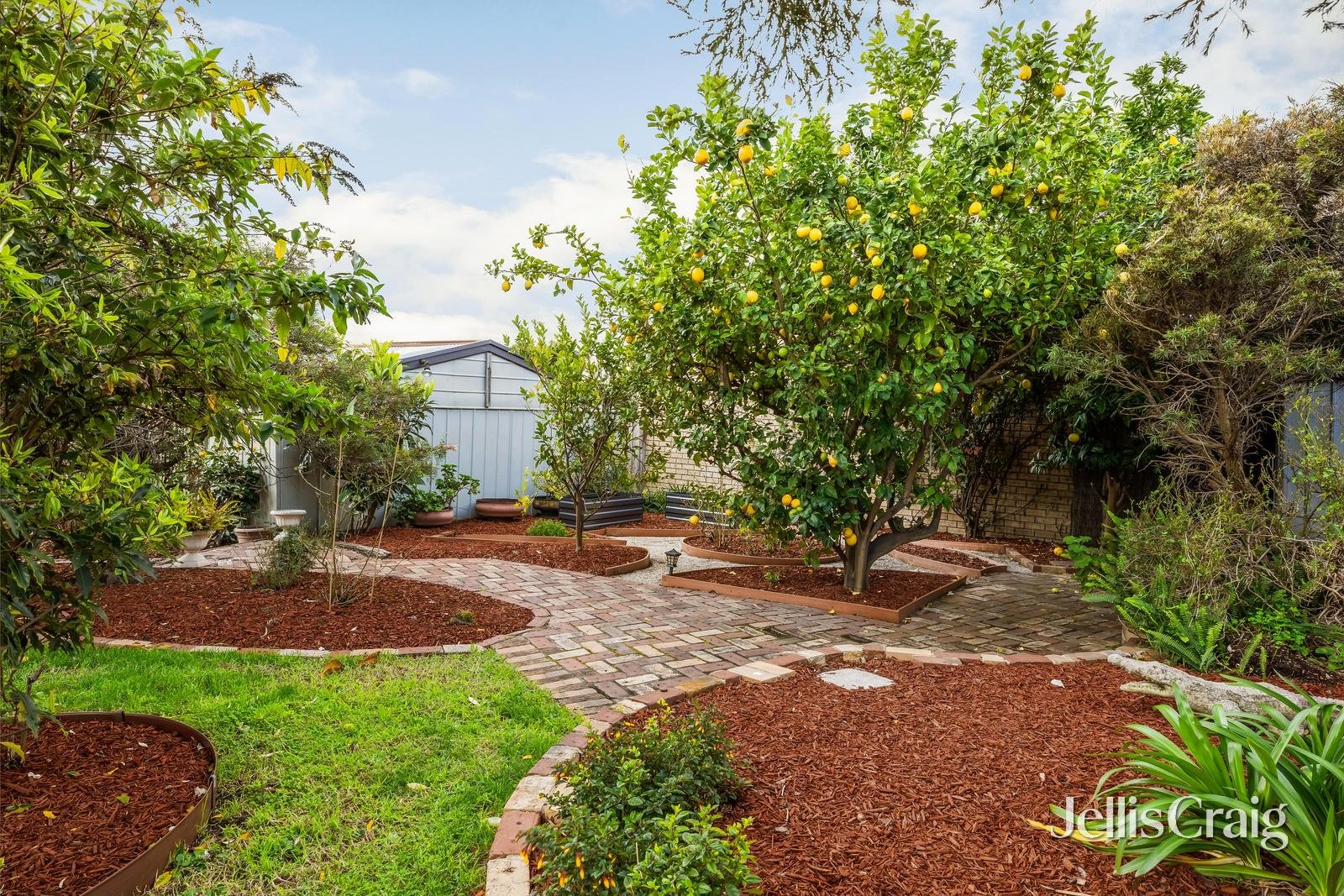 15 Princes Street, Watsonia image 16