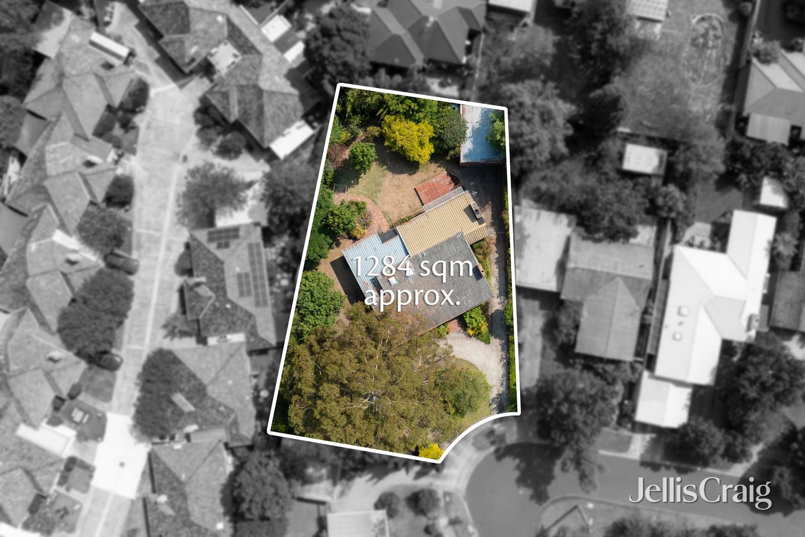 15 Raymond Court, Brighton&nbsp;East image 1