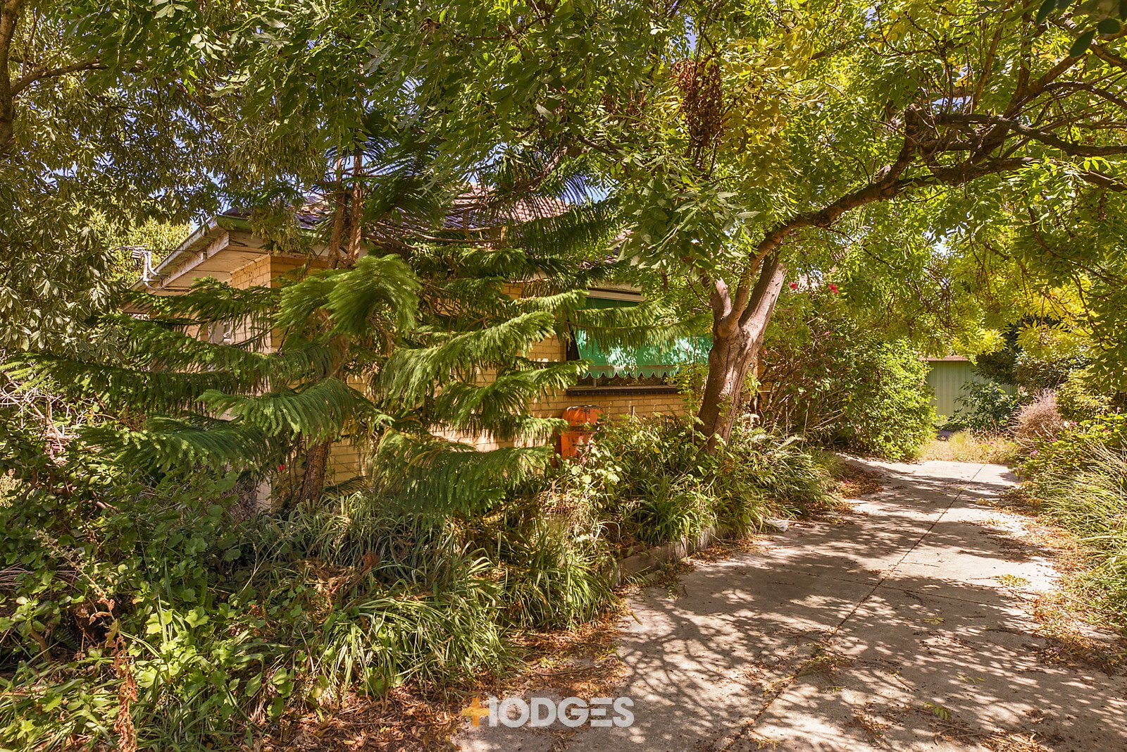 15 Rica Street Moorabbin