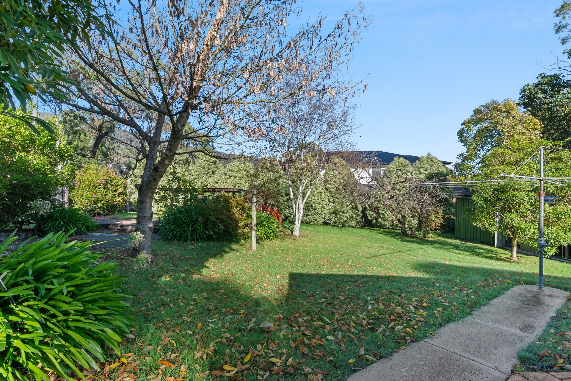 15 Stuart Street, The&nbsp;Basin image 8
