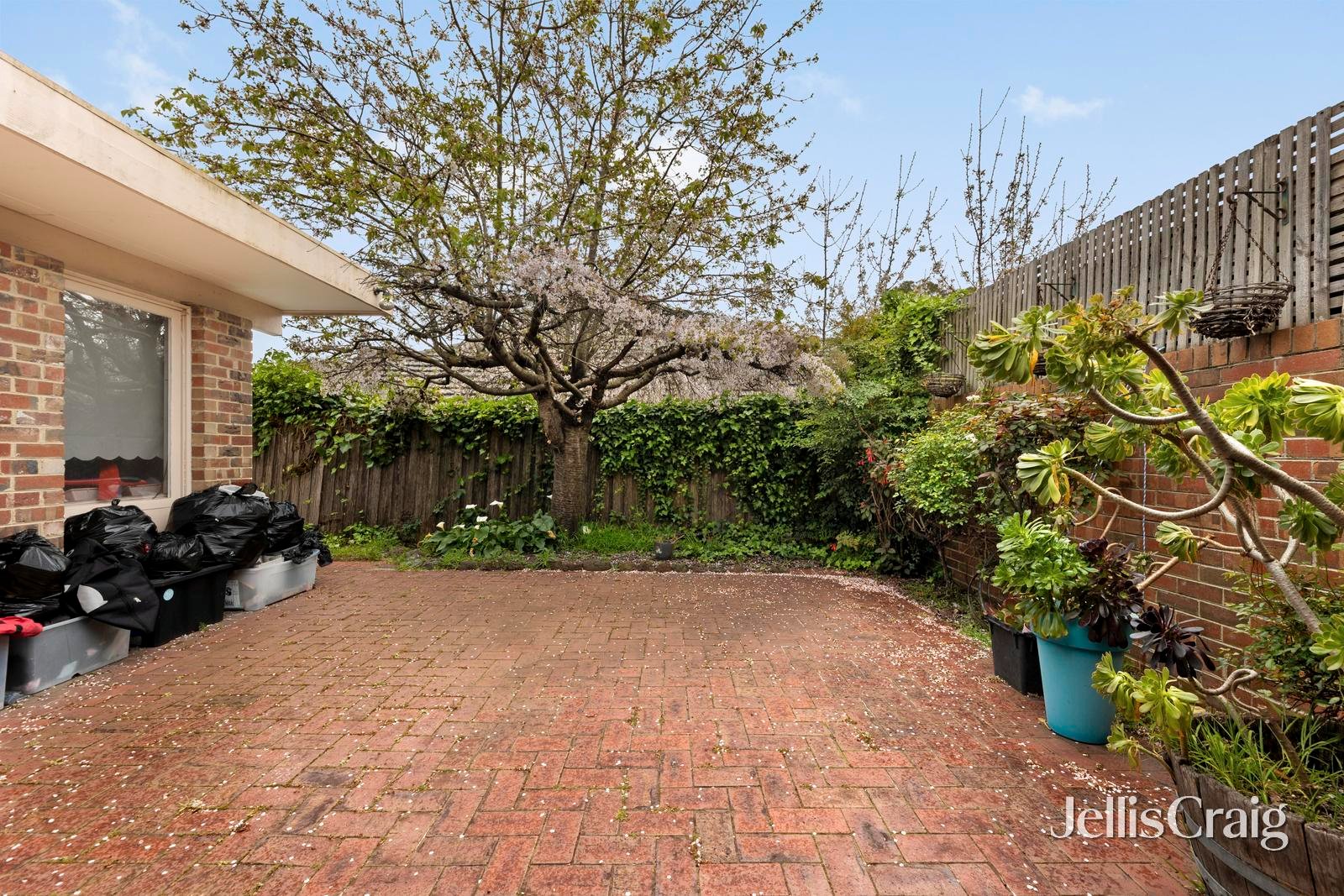 15 Trenton Avenue, Glen&nbsp;Waverley image 10