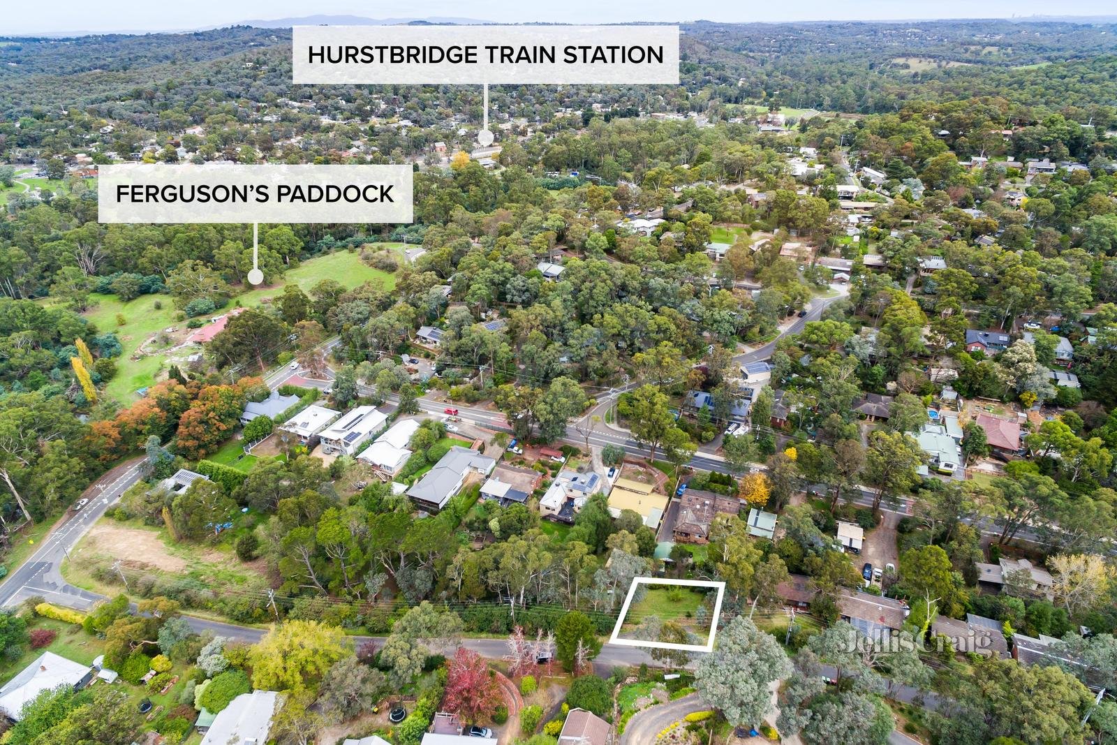 15 Wattletree Road, Hurstbridge image 7