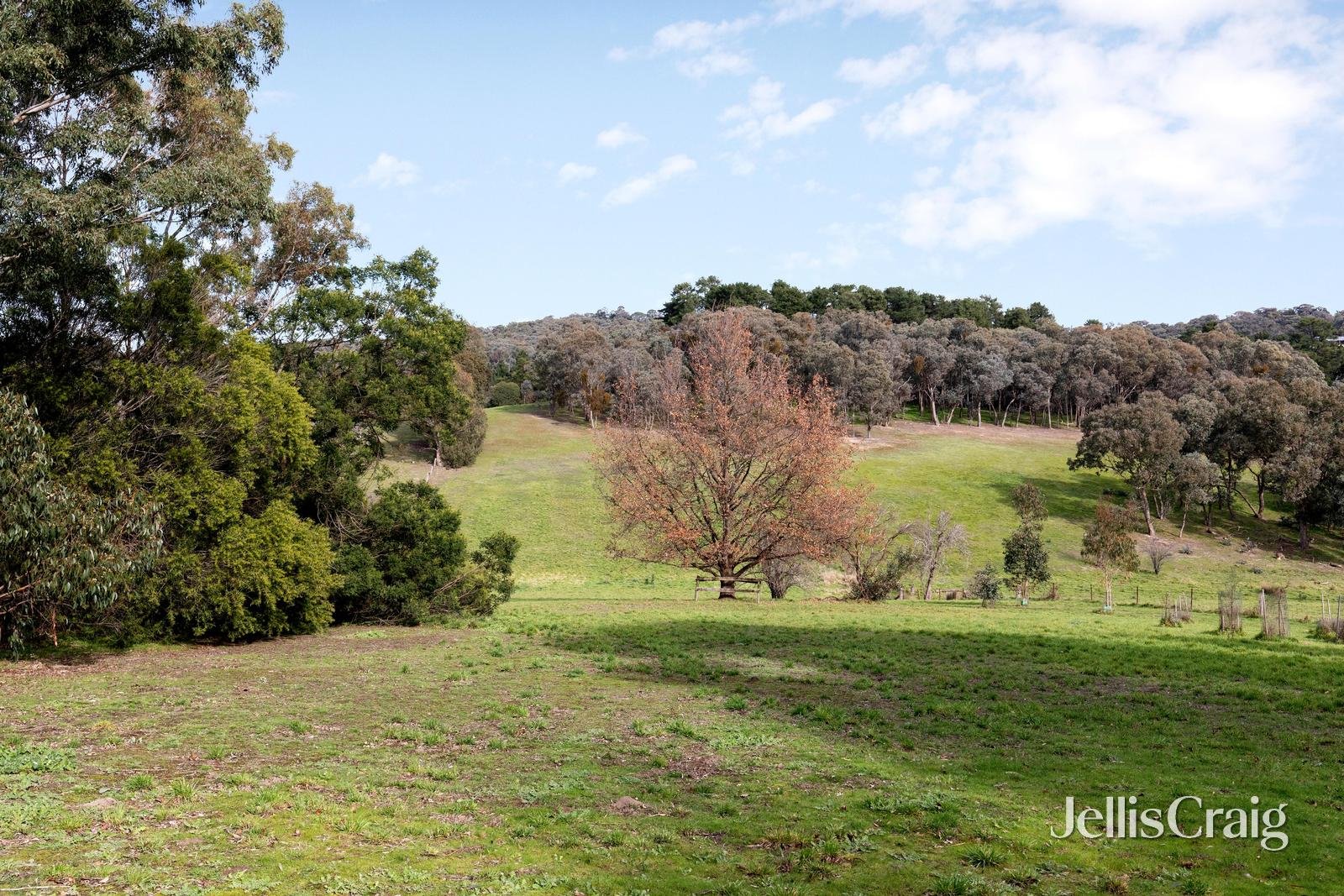 150 Cherry Tree Road, Hurstbridge image 18