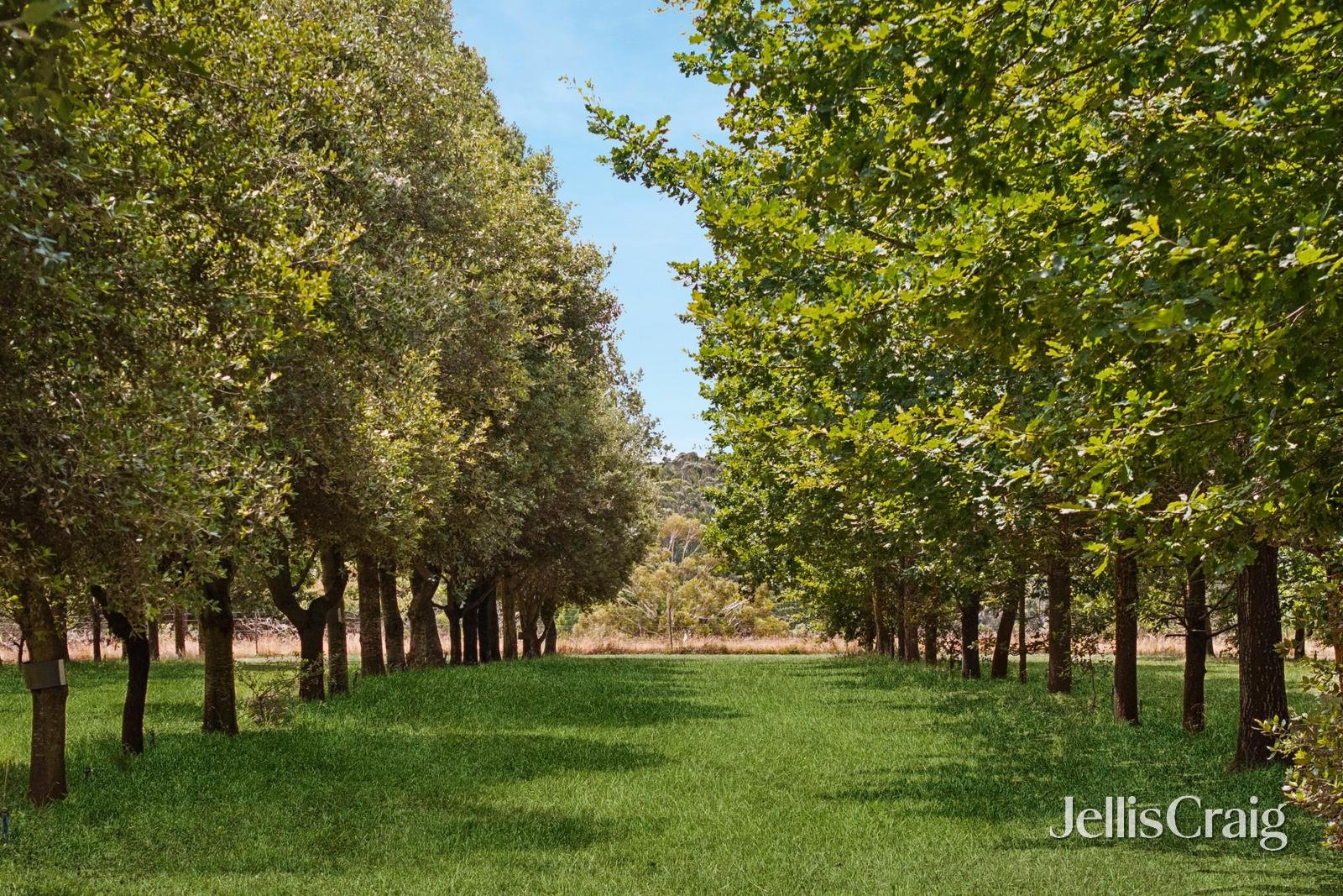 150 Howards Road, Wattle&nbsp;Flat image 13