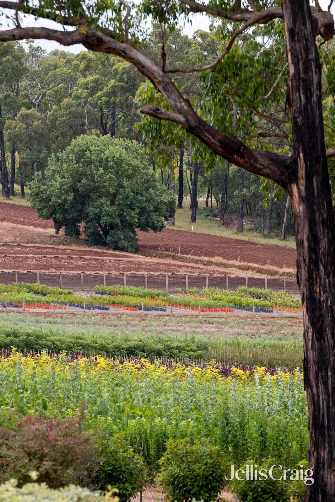 150 Monbulk-Seville Road, Silvan image 25