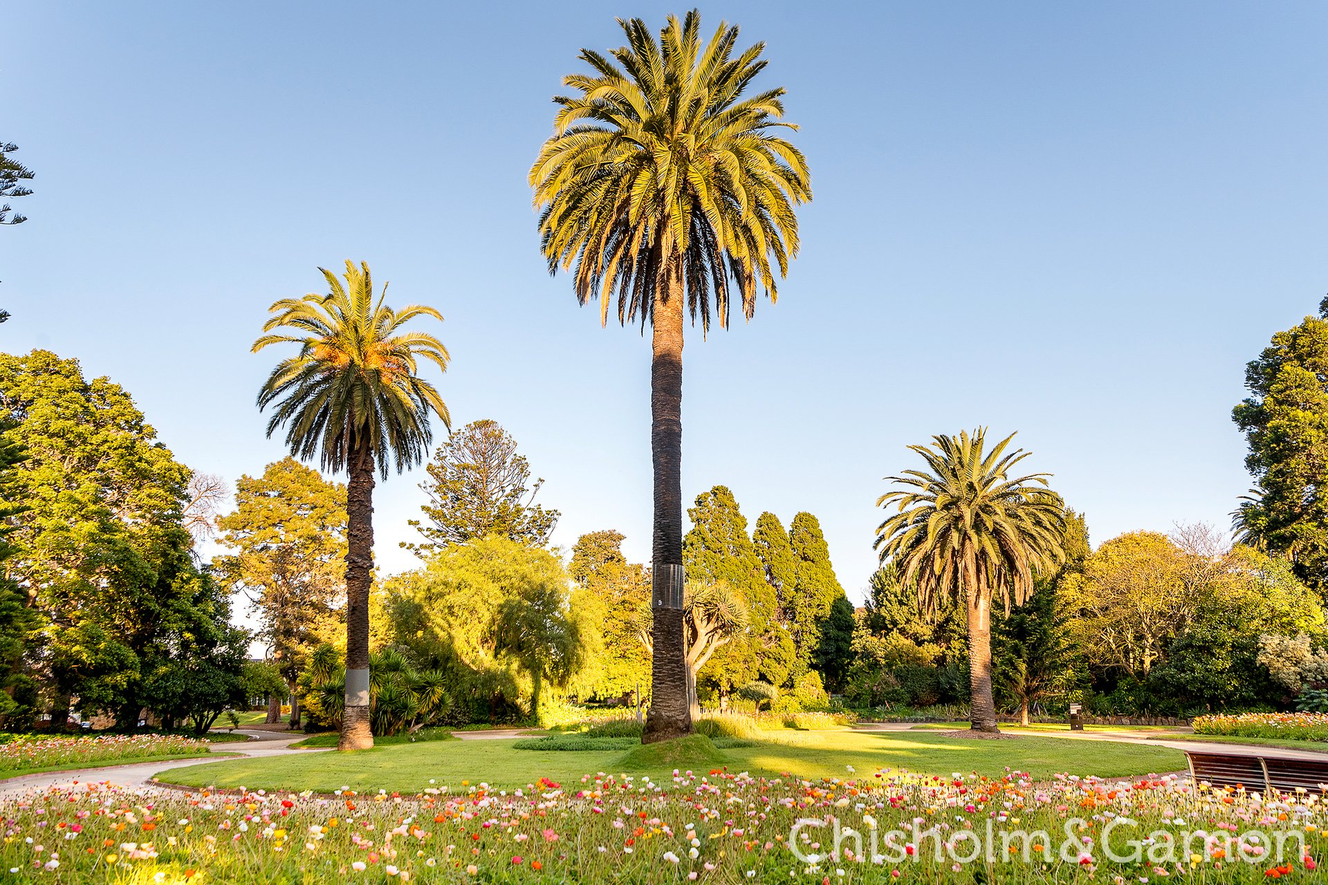 15/10A Mitford Street, St Kilda image 13