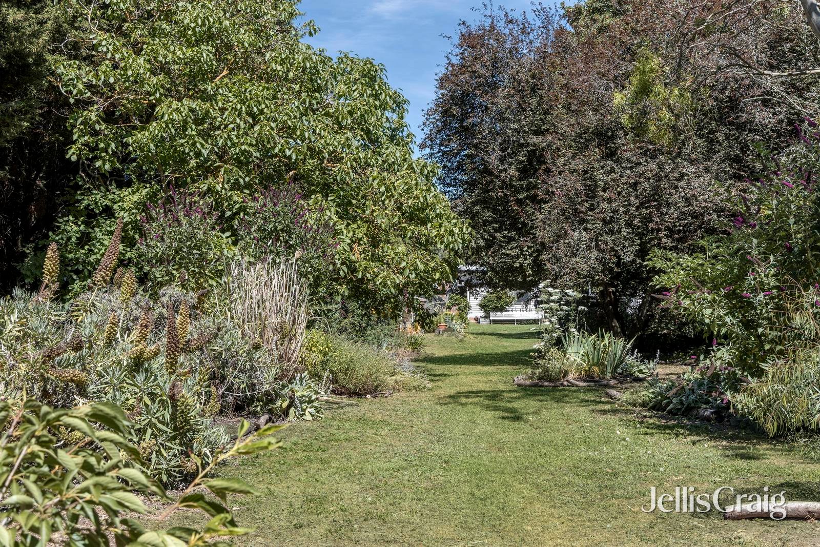 152 Main Street, Romsey image 17