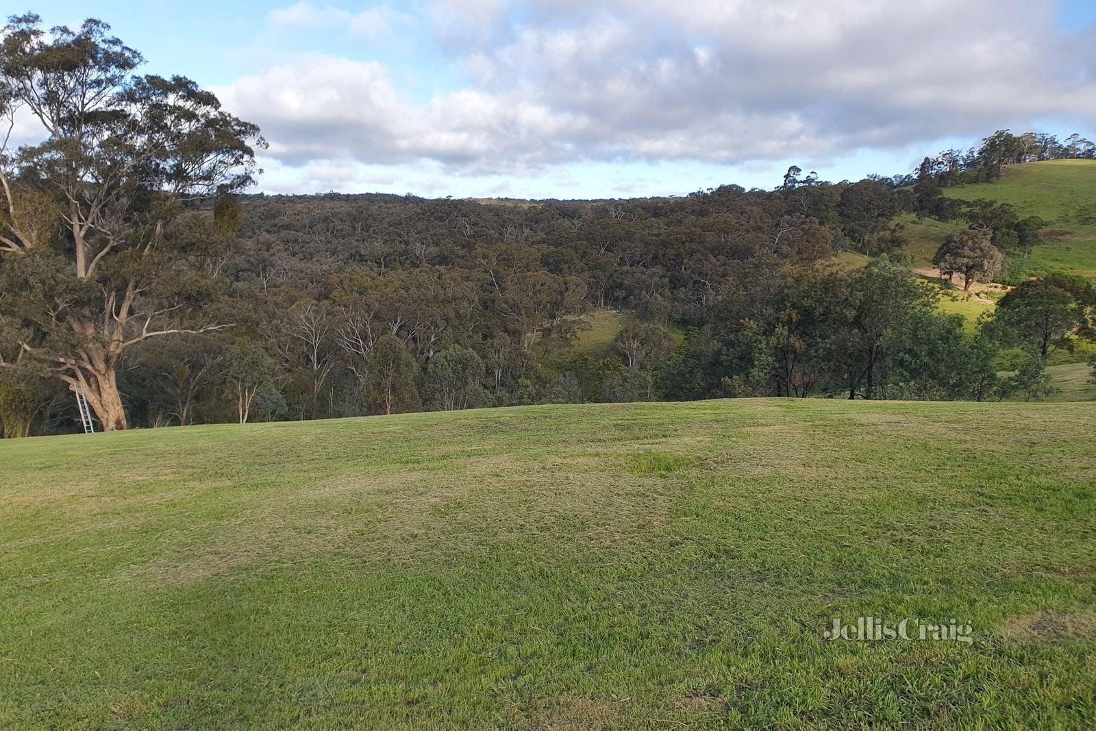 153 Charlies Road, Elevated Plains image 12
