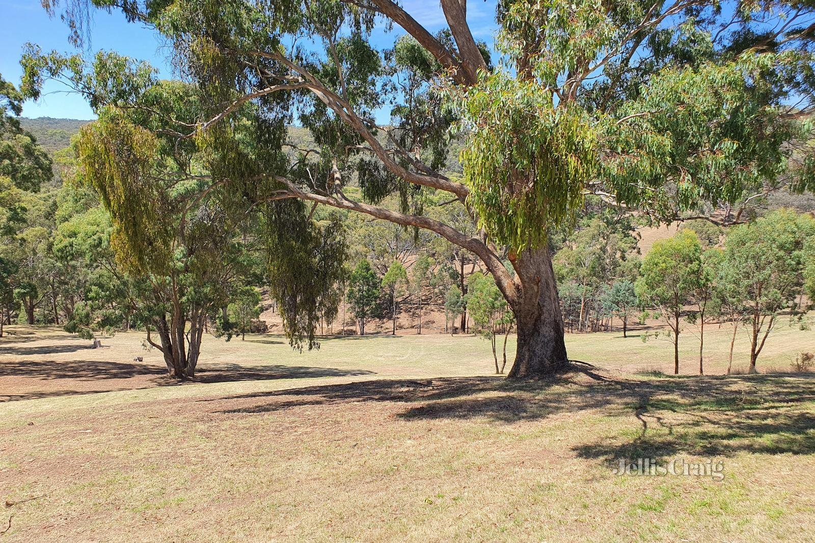 153 Charlies Road, Elevated Plains image 17