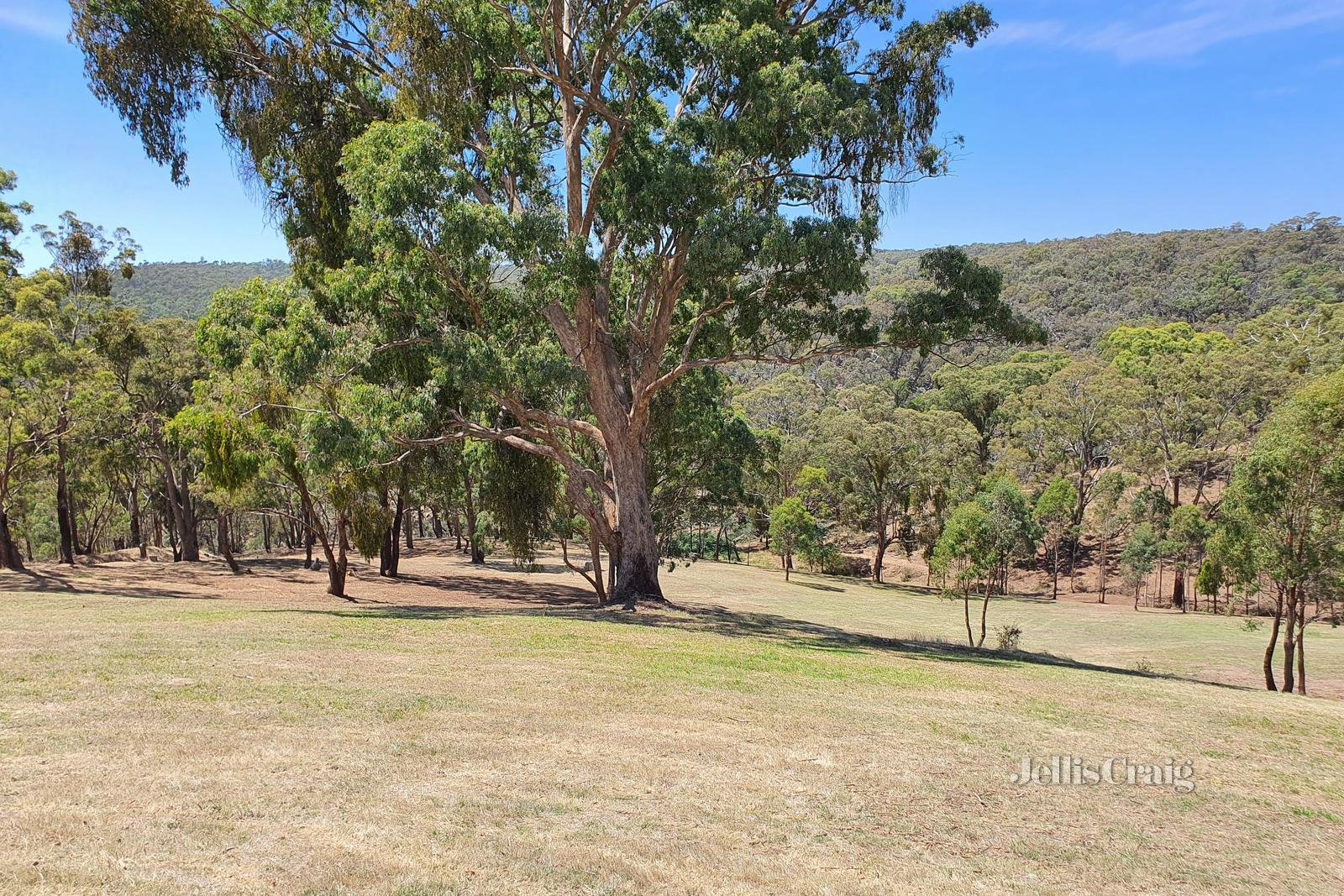 153 Charlies Road, Elevated Plains image 18