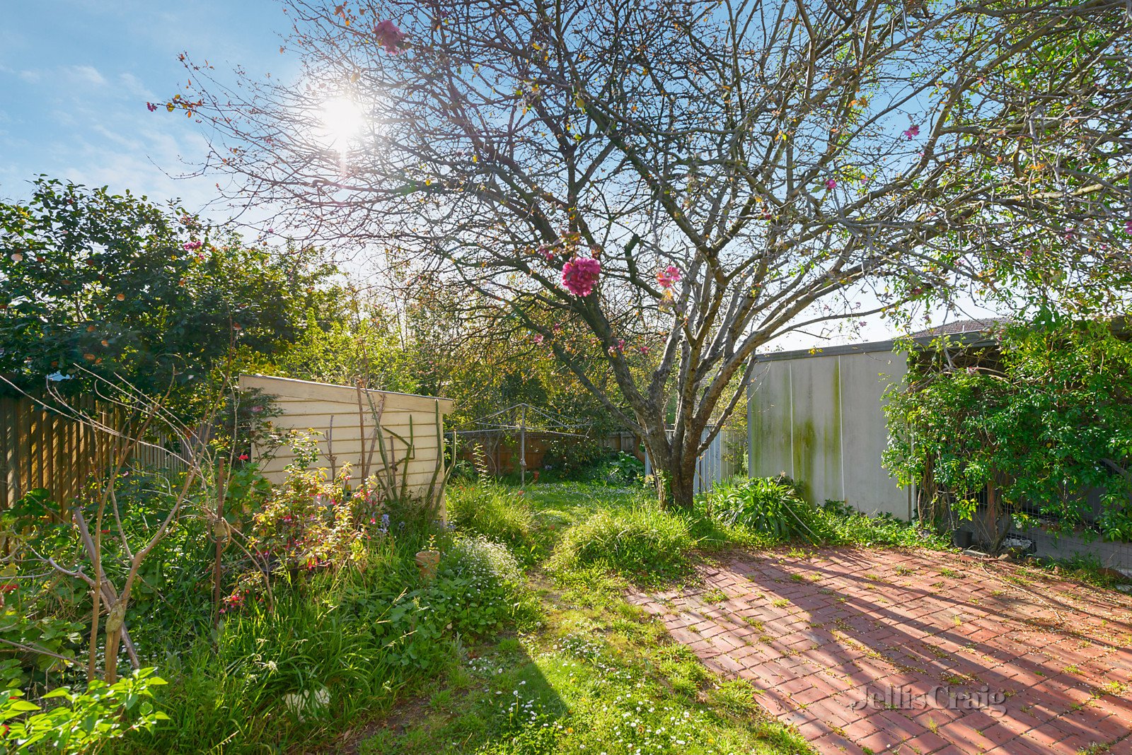 153 Middleborough Road, Box Hill South image 4