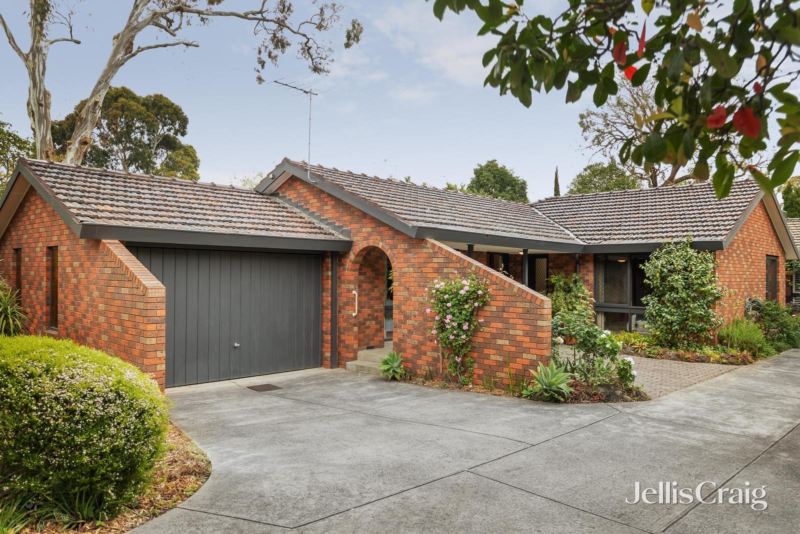 1/54 Blackburn Road, Blackburn image 1