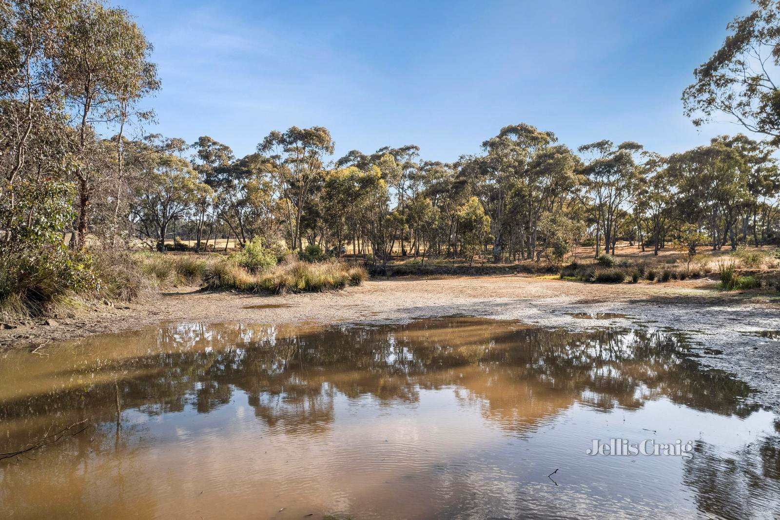 154 Boundary Road, Maldon image 15