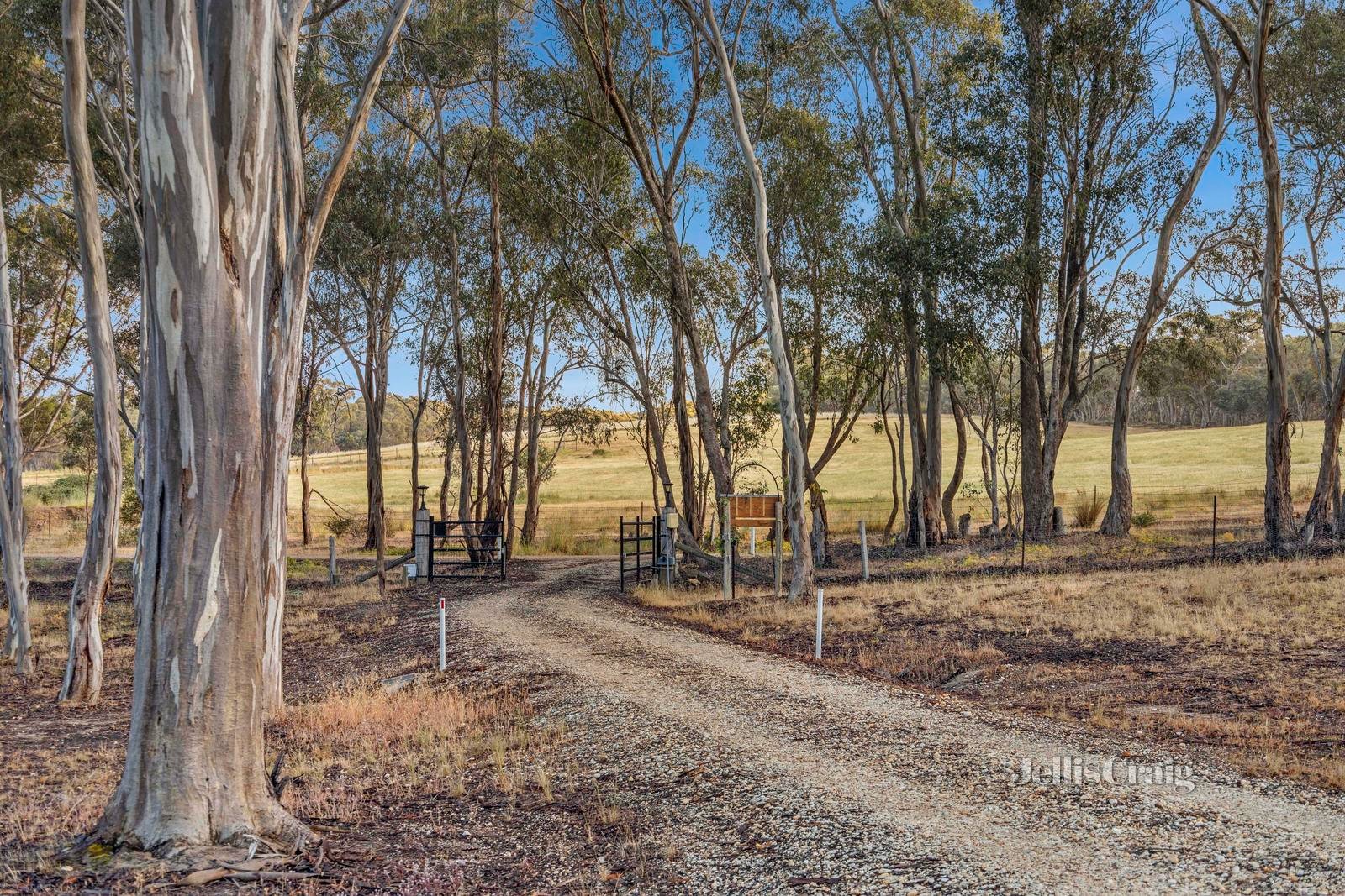 154 Boundary Road, Maldon image 17