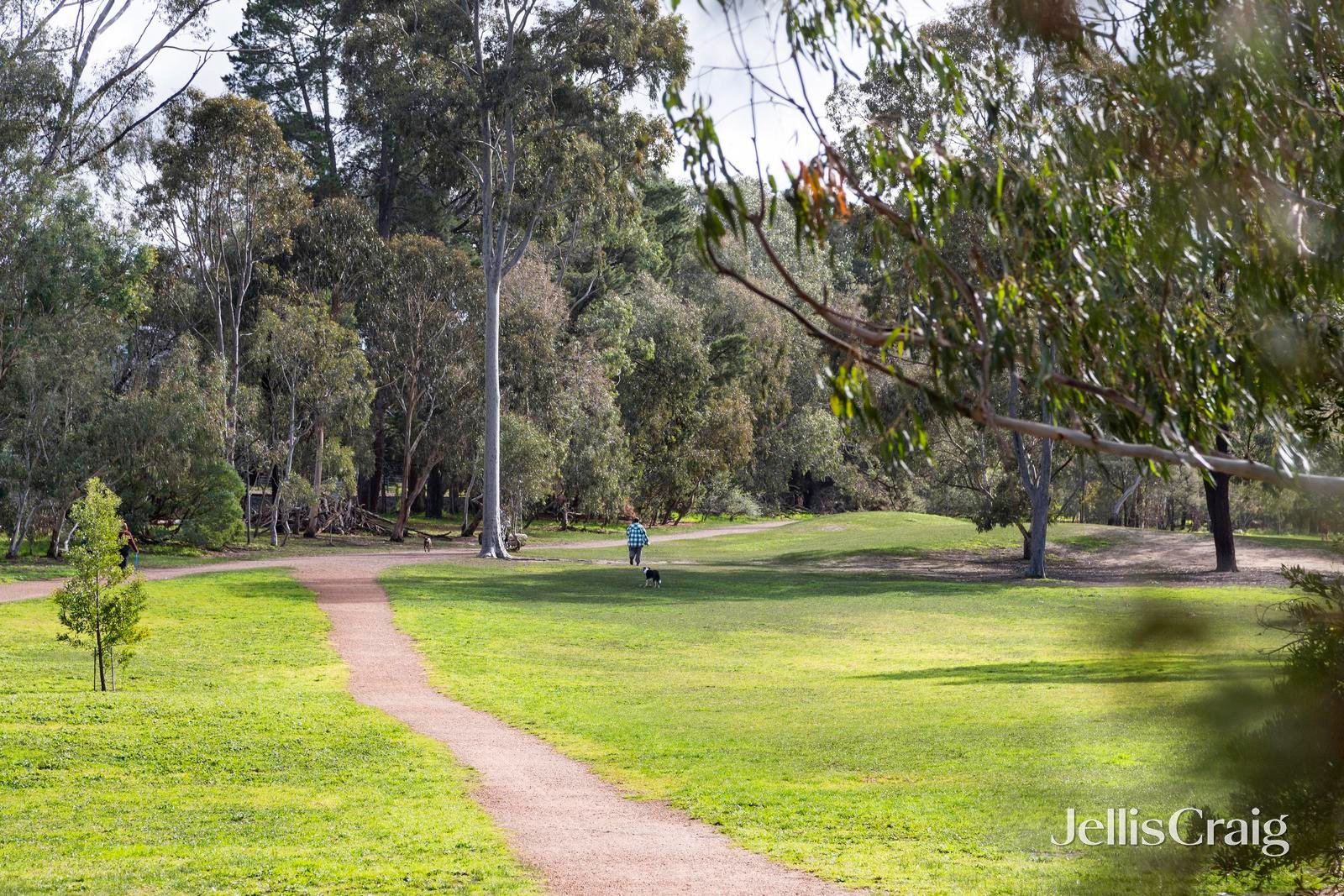 154 Lower Plenty Road, Rosanna image 13