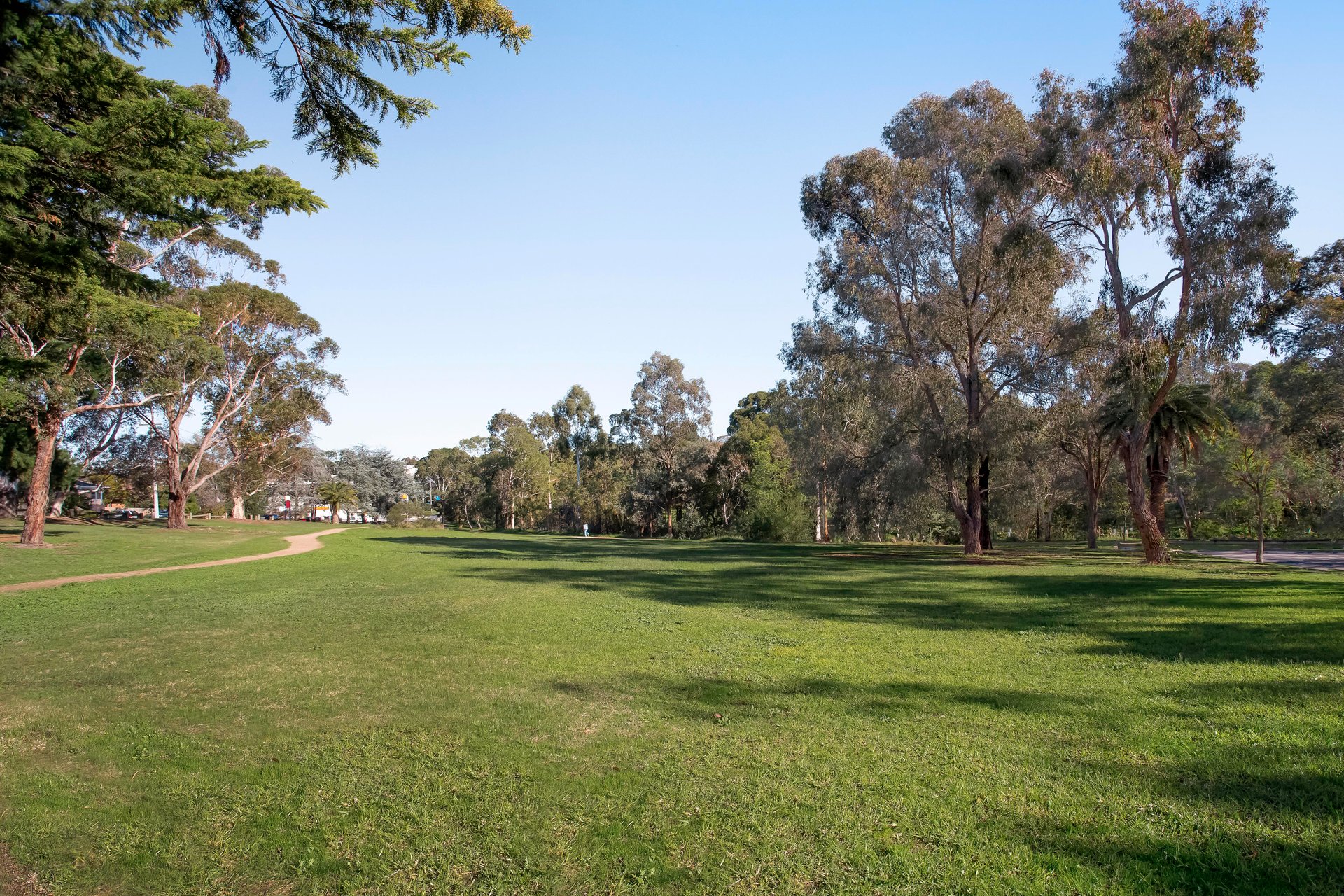 154 Lower Plenty Road, Rosanna image 13