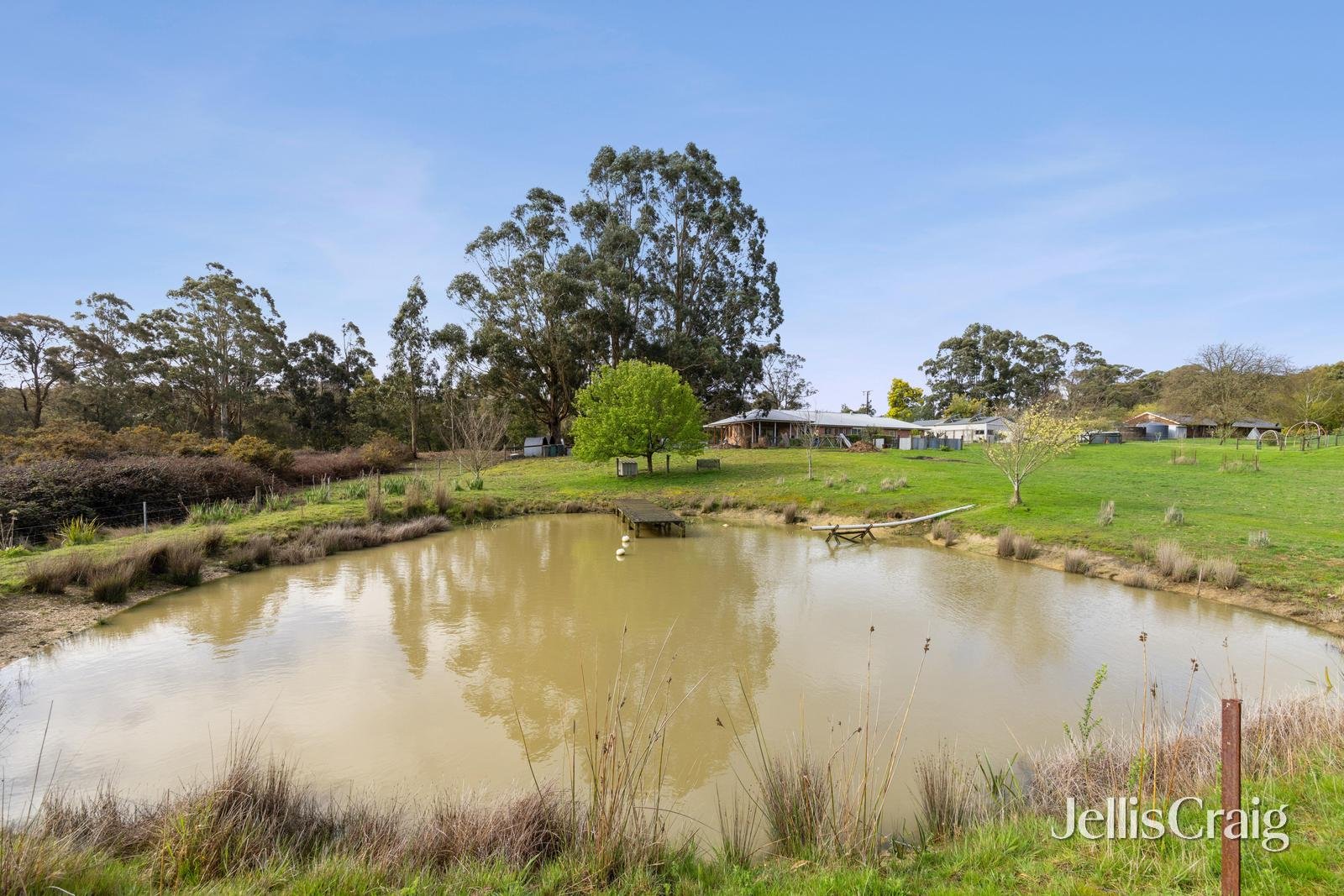 154 Olympic Avenue, Mount Helen image 11