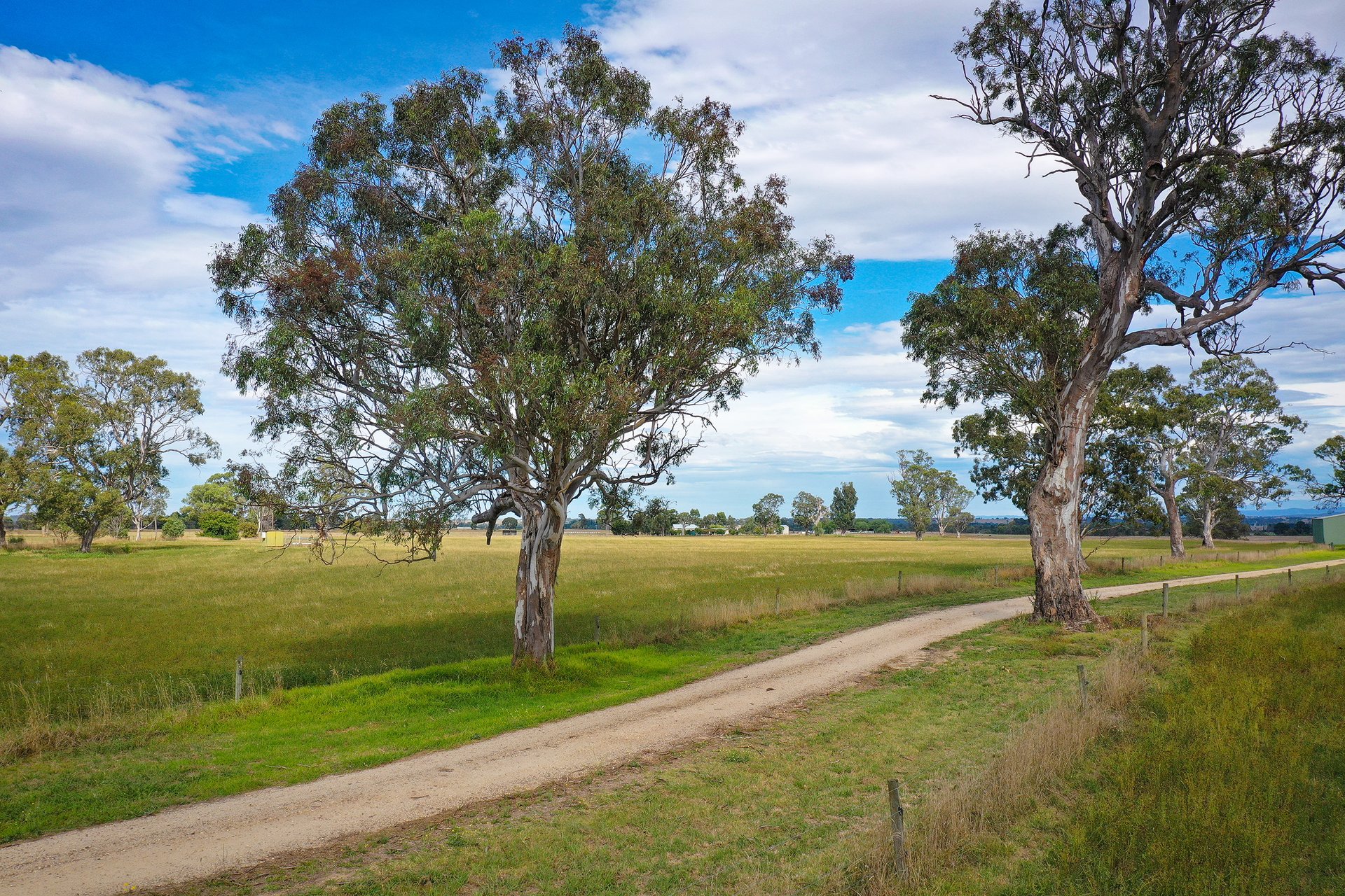 1545 Maffra Road Briagolong Leo O'Brien Property