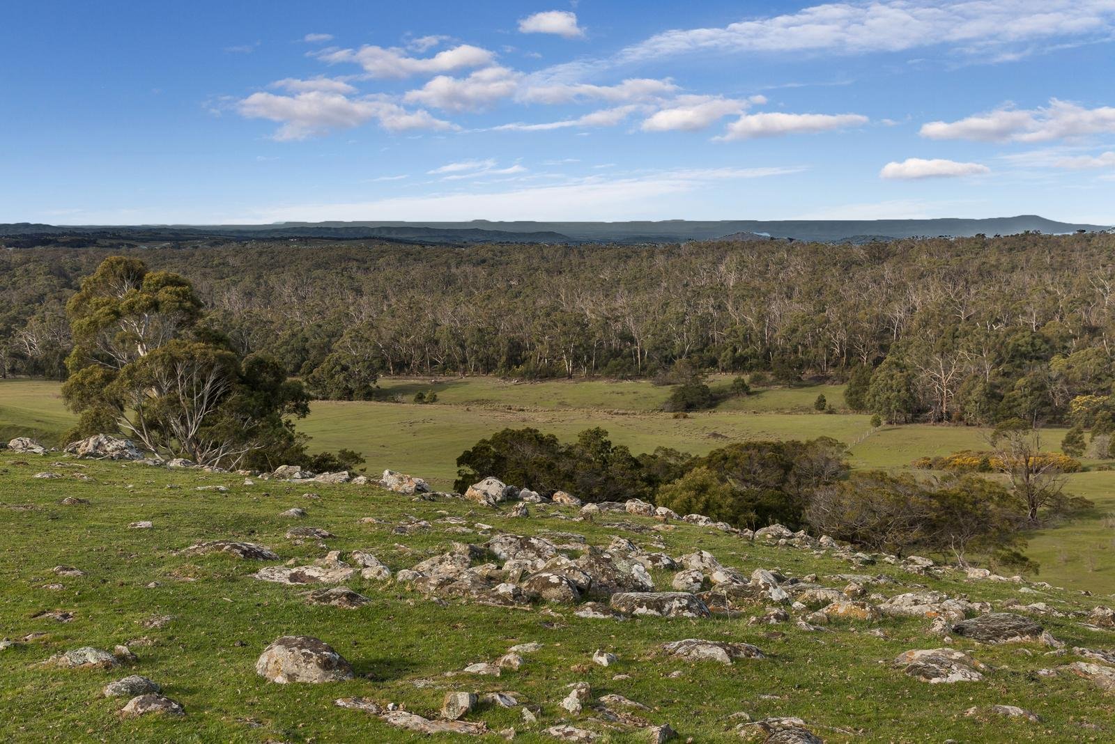 155 Frosts Road, Benloch image 5