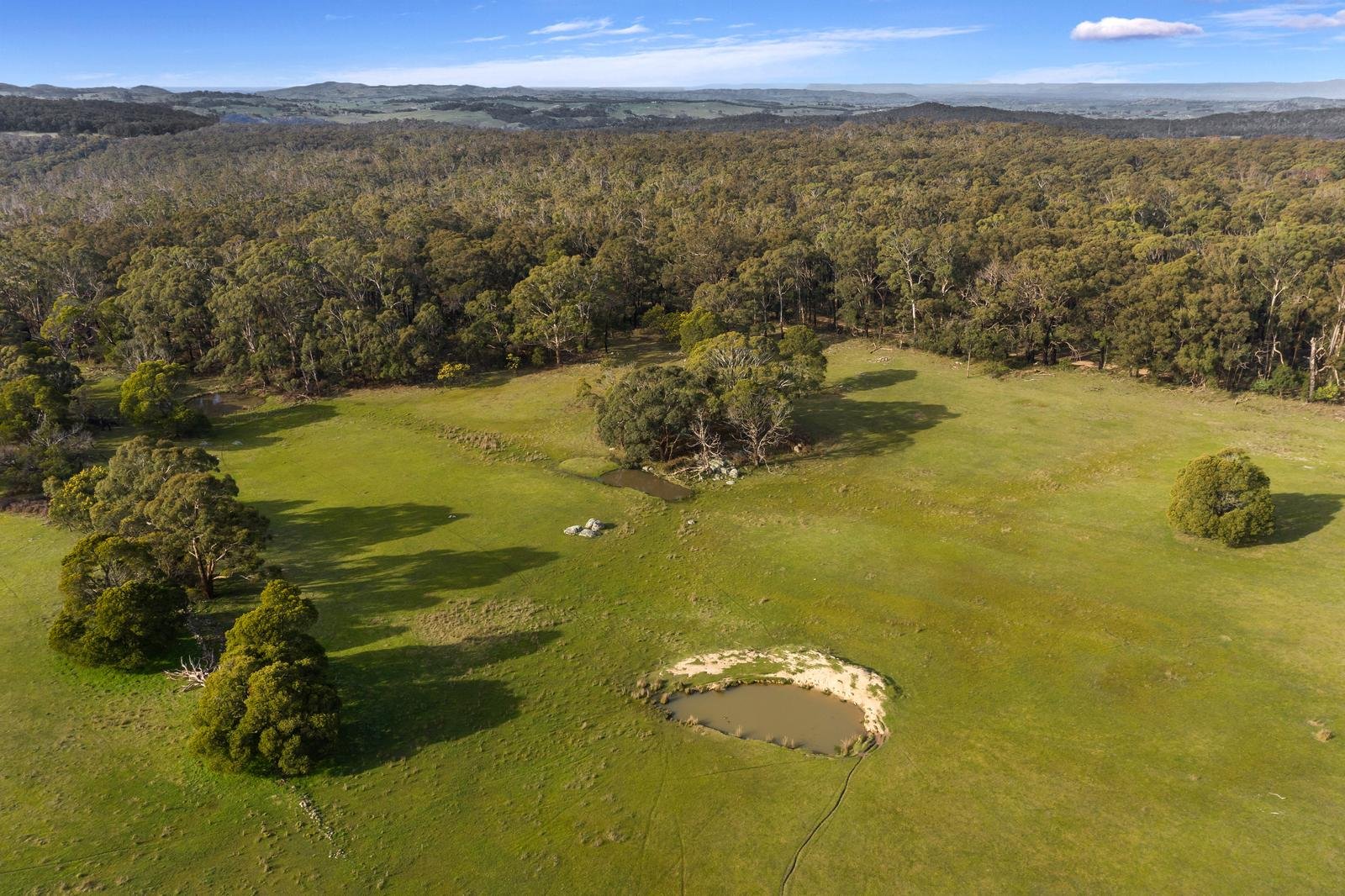 155 Frosts Road, Benloch image 9
