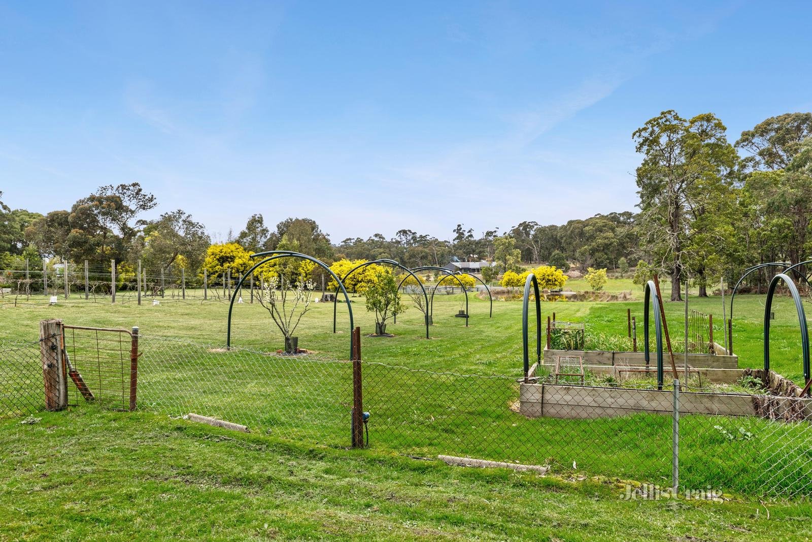 155 Kennedys Road, Smythes Creek image 13
