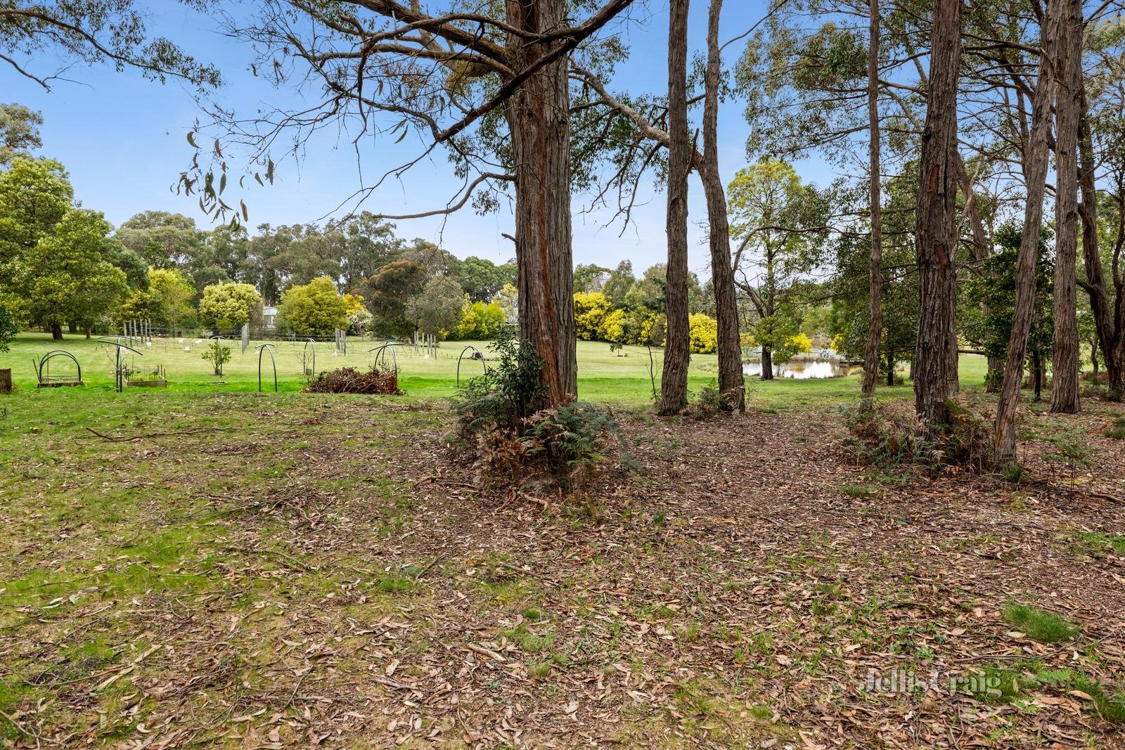 155 Kennedys Road, Smythes Creek image 17