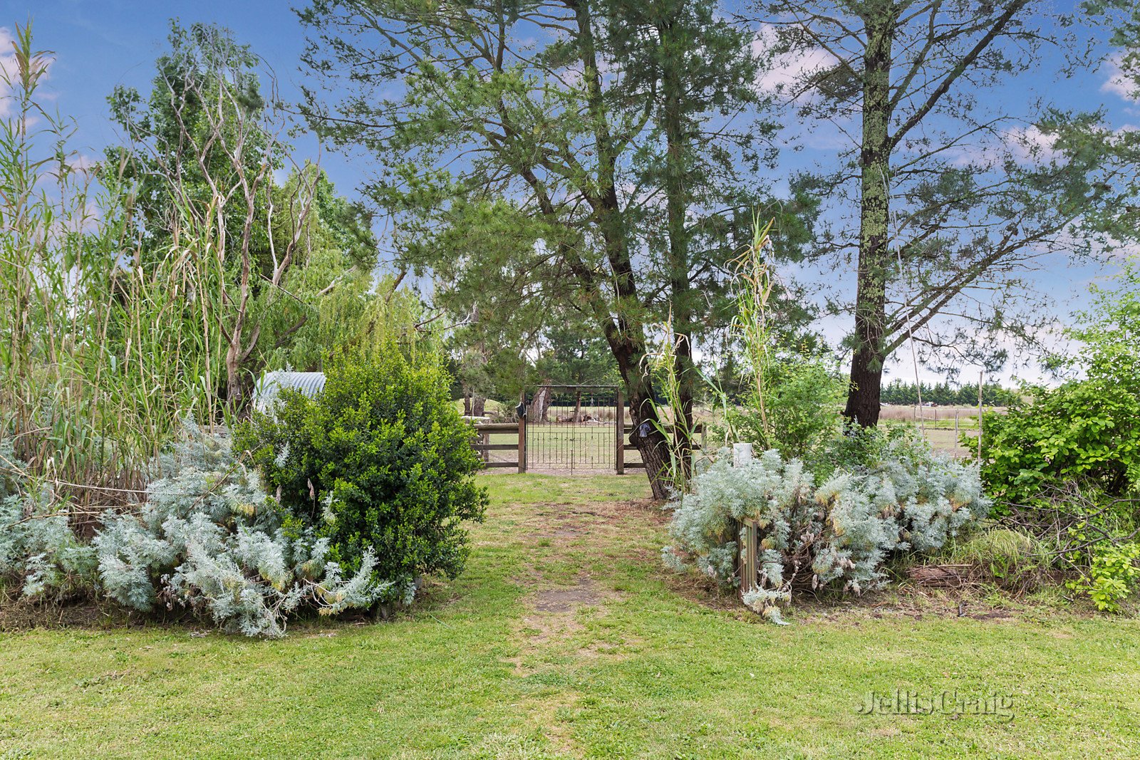 1566 Calder Highway, Taradale image 6