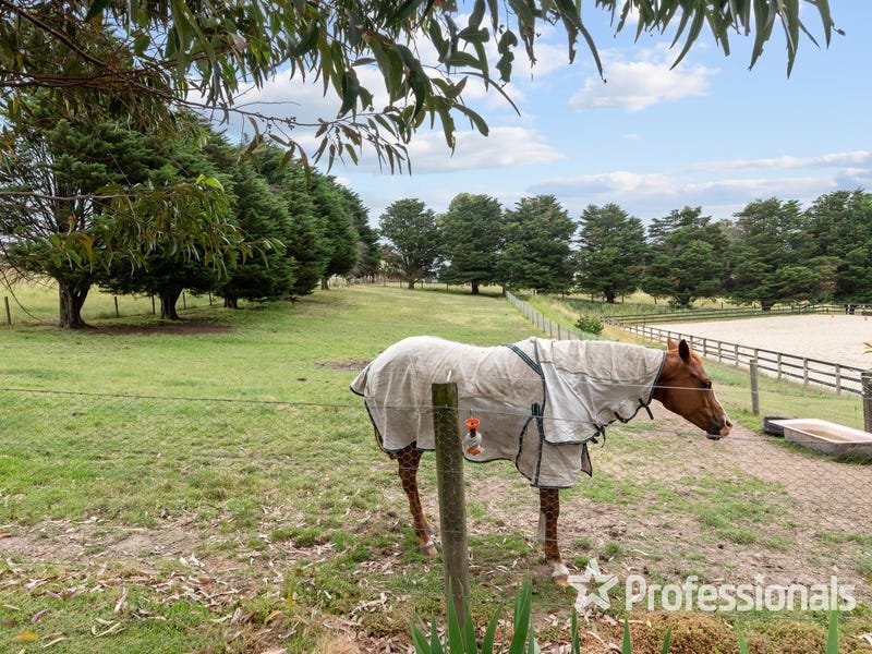 1571 Melba Highway, Dixons Creek image 2